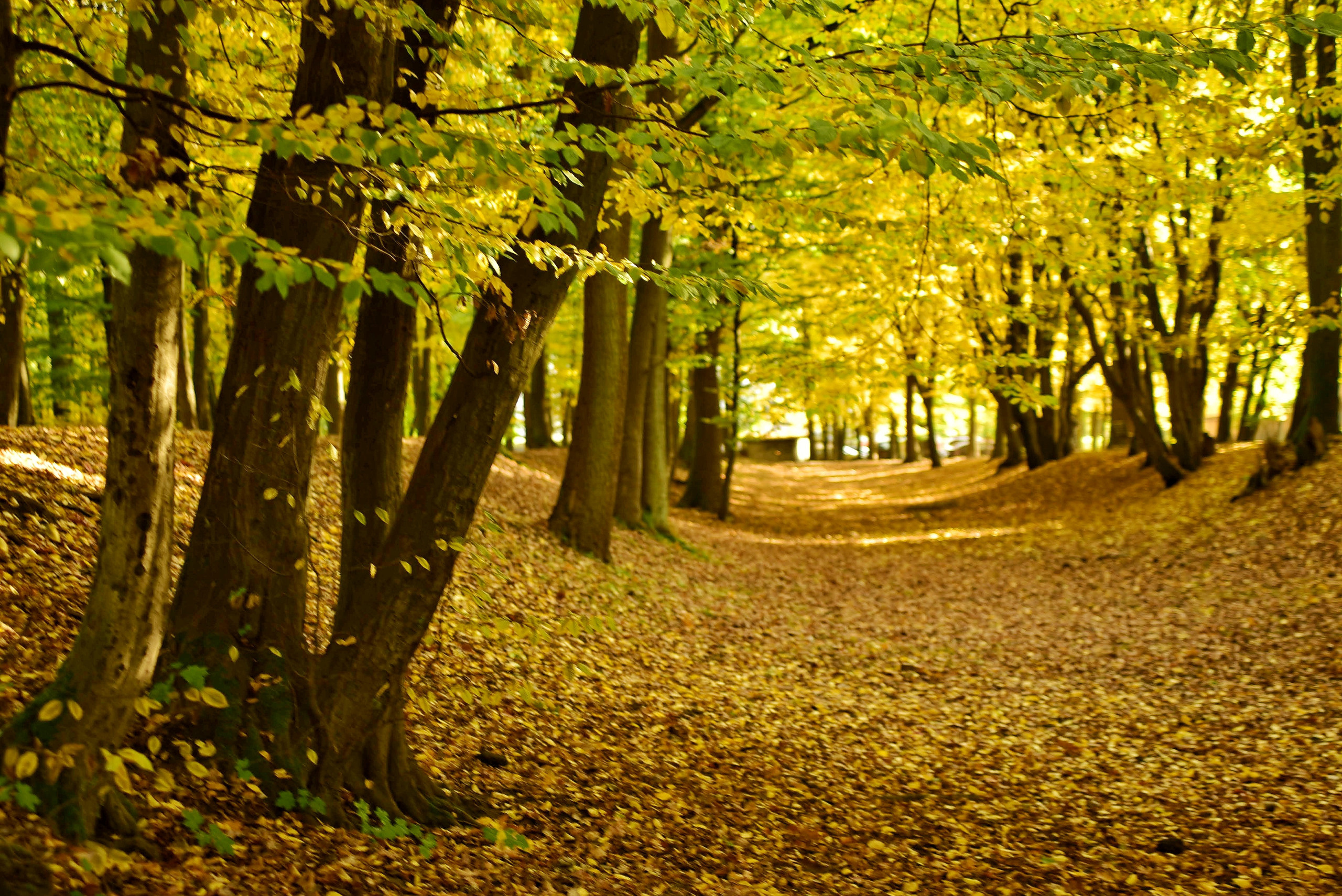 То ещё портфолио