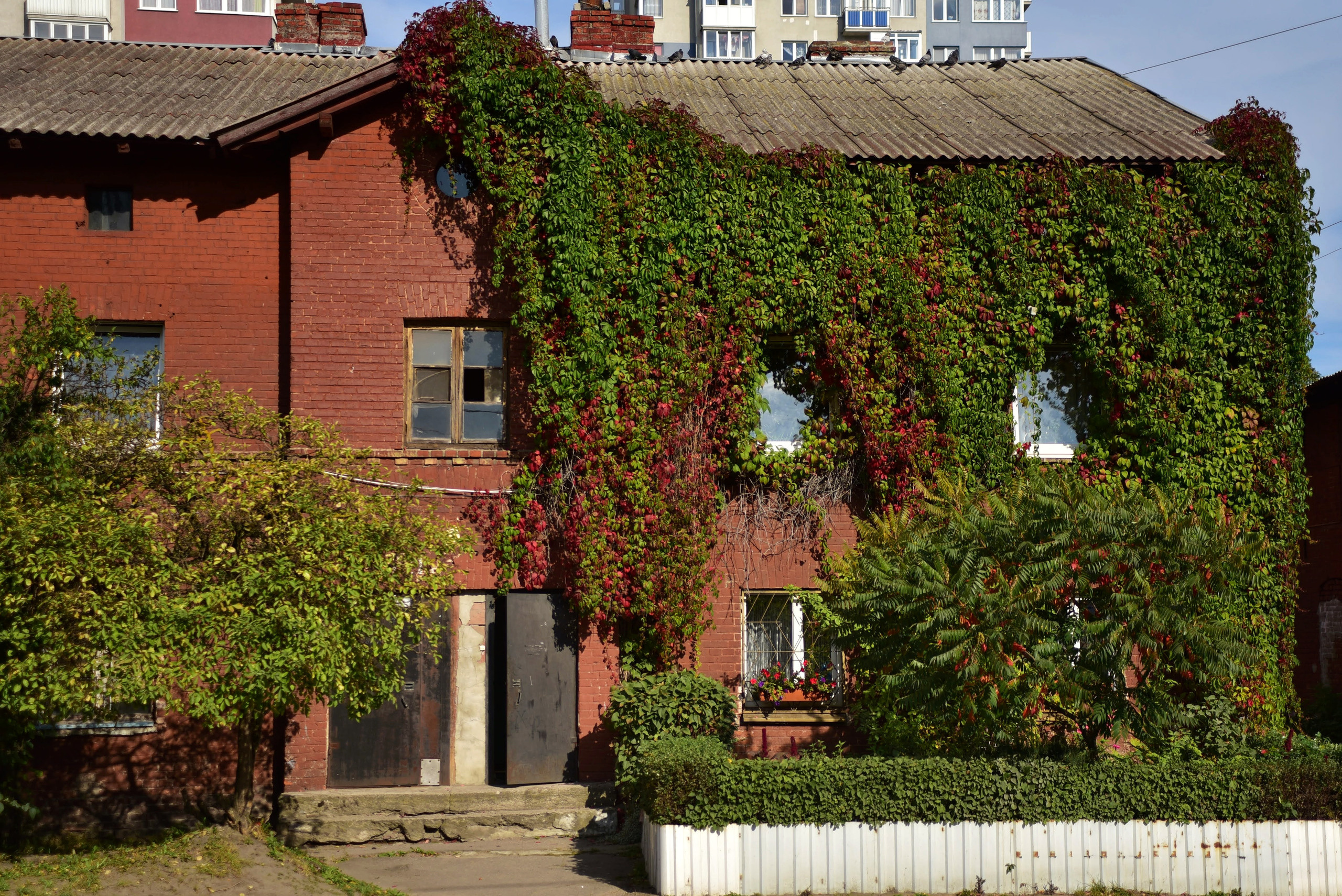 То ещё портфолио