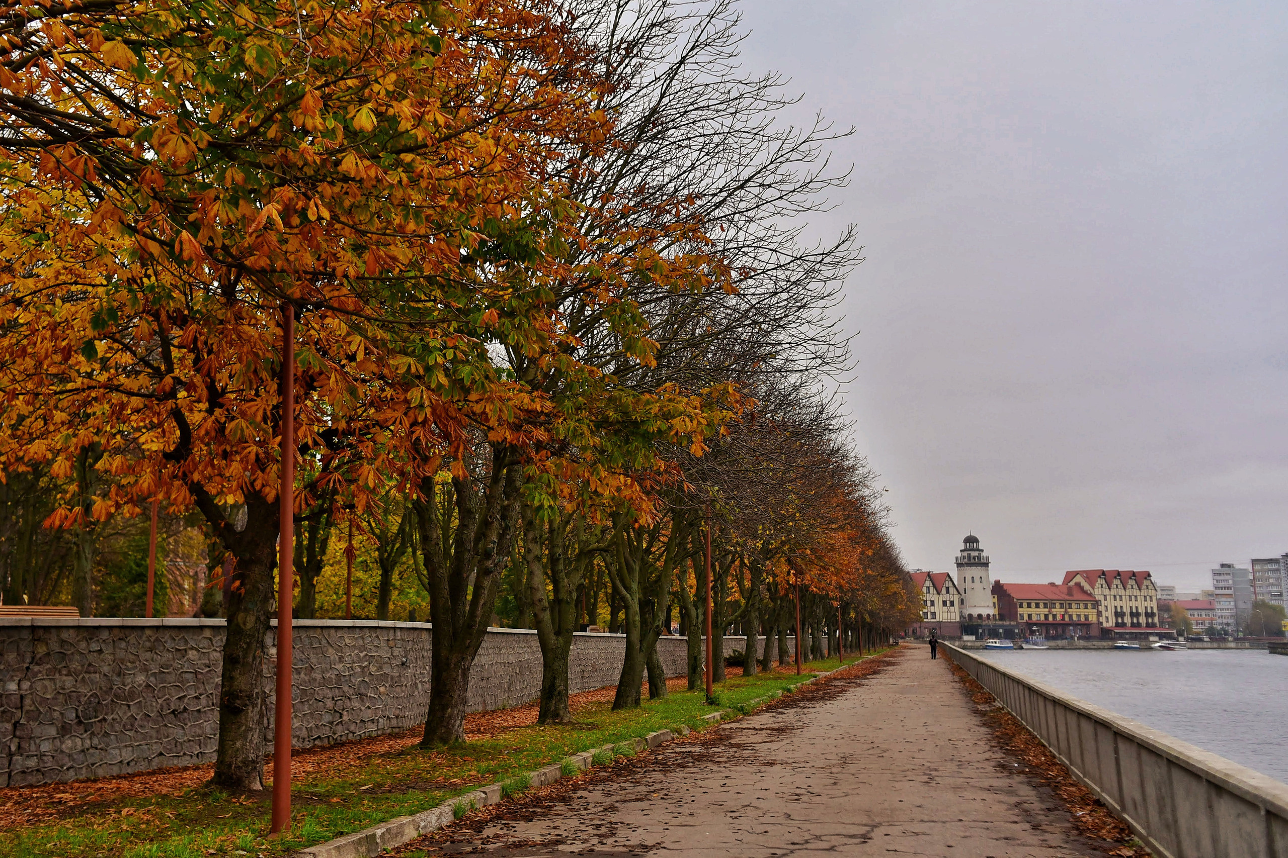 Калининград и область. Осень 2020. То ещё портфолио