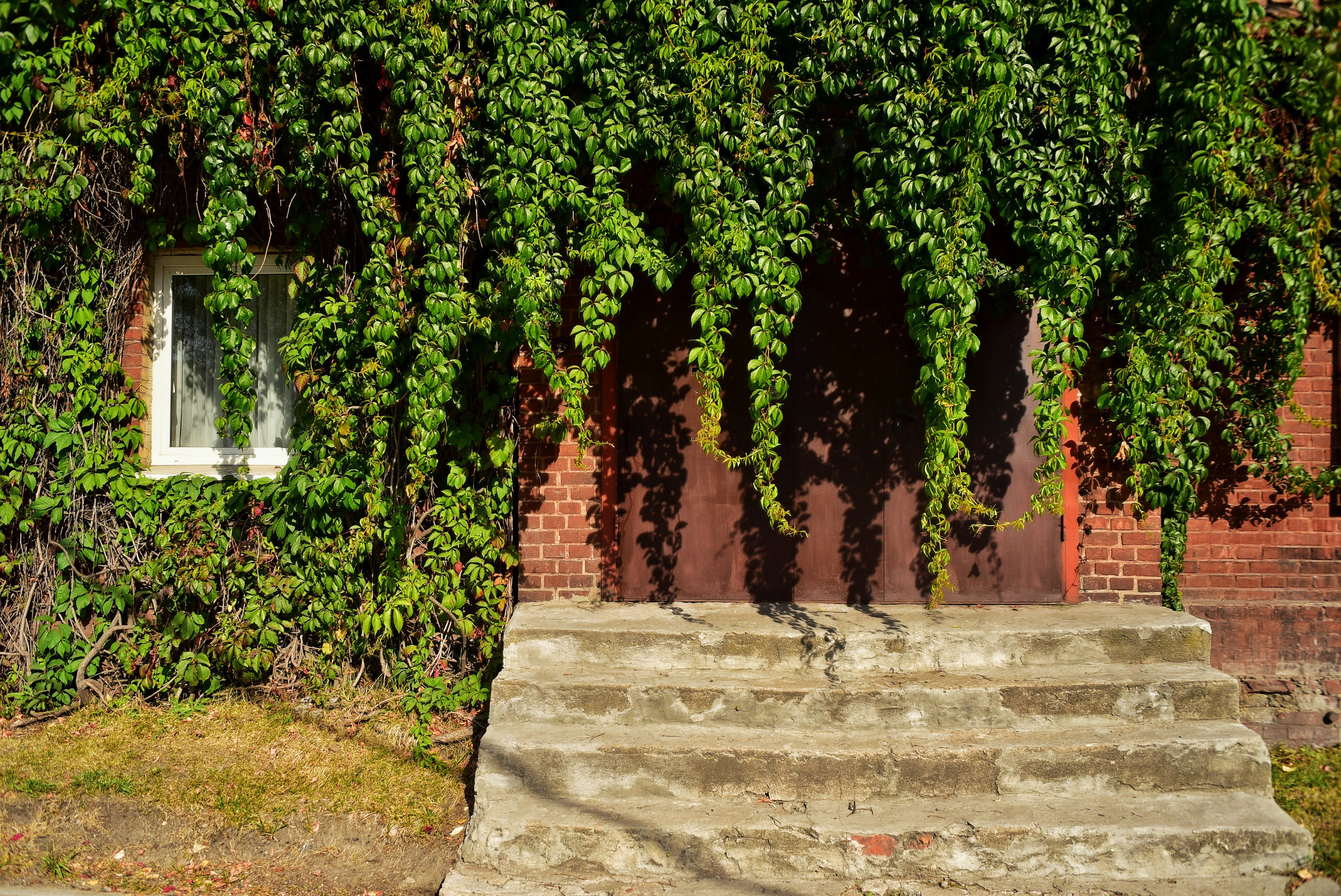 Калининградские дворы и двери. Осень 2020 год. То ещё портфолио