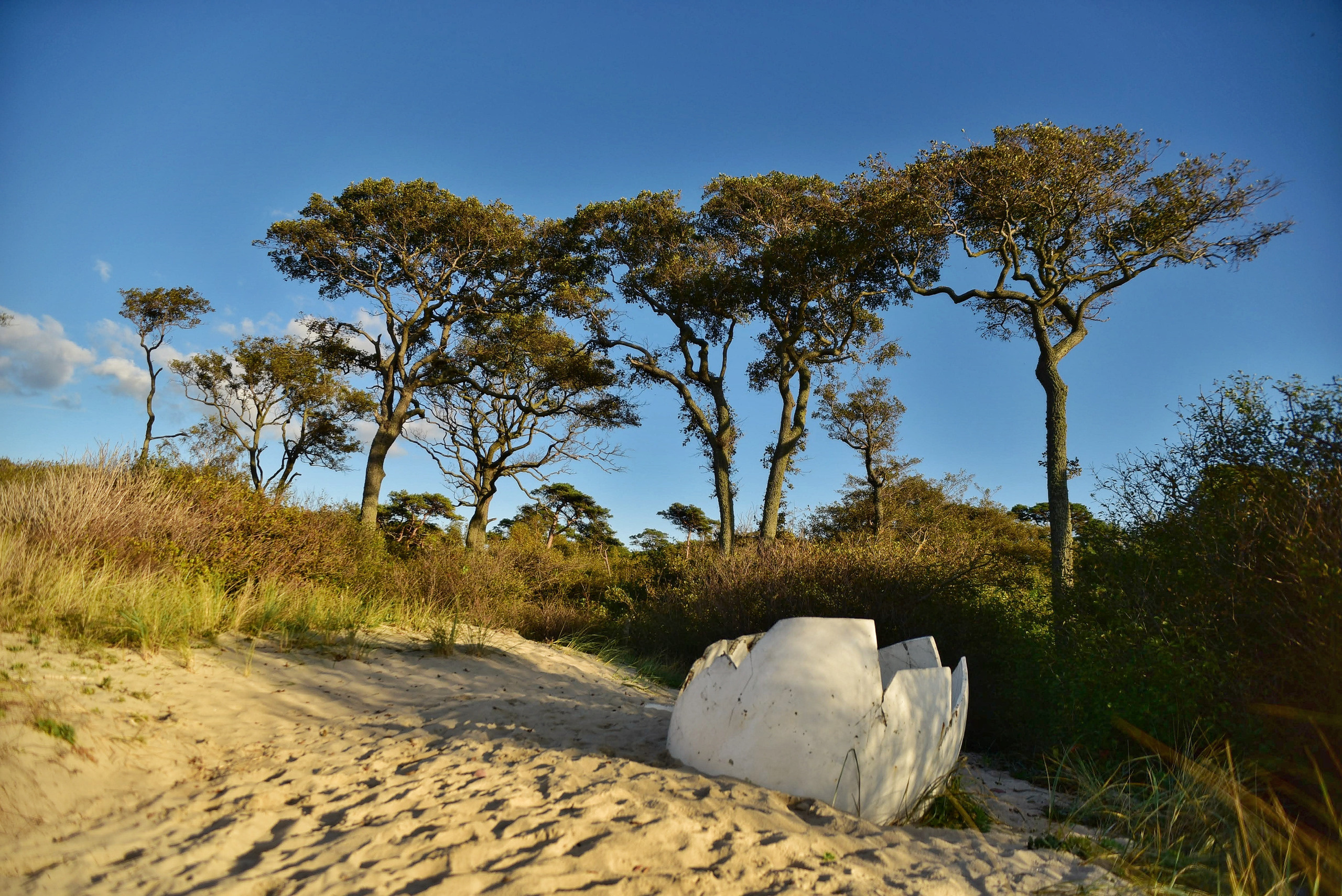 То ещё портфолио