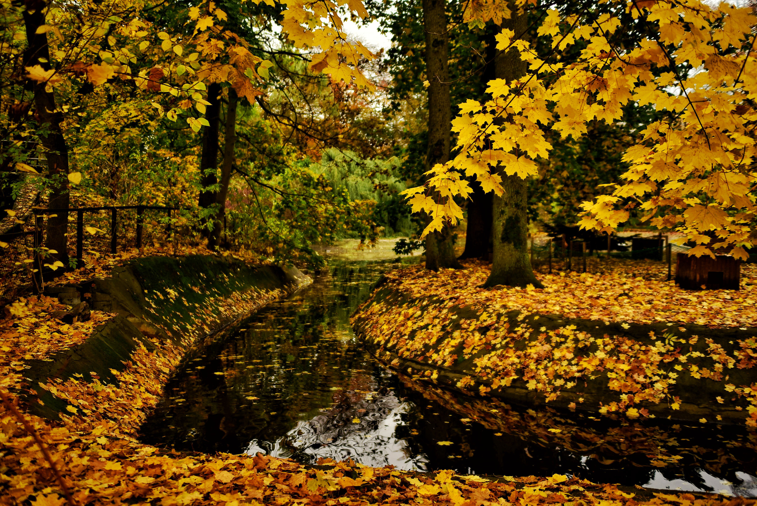 То ещё портфолио