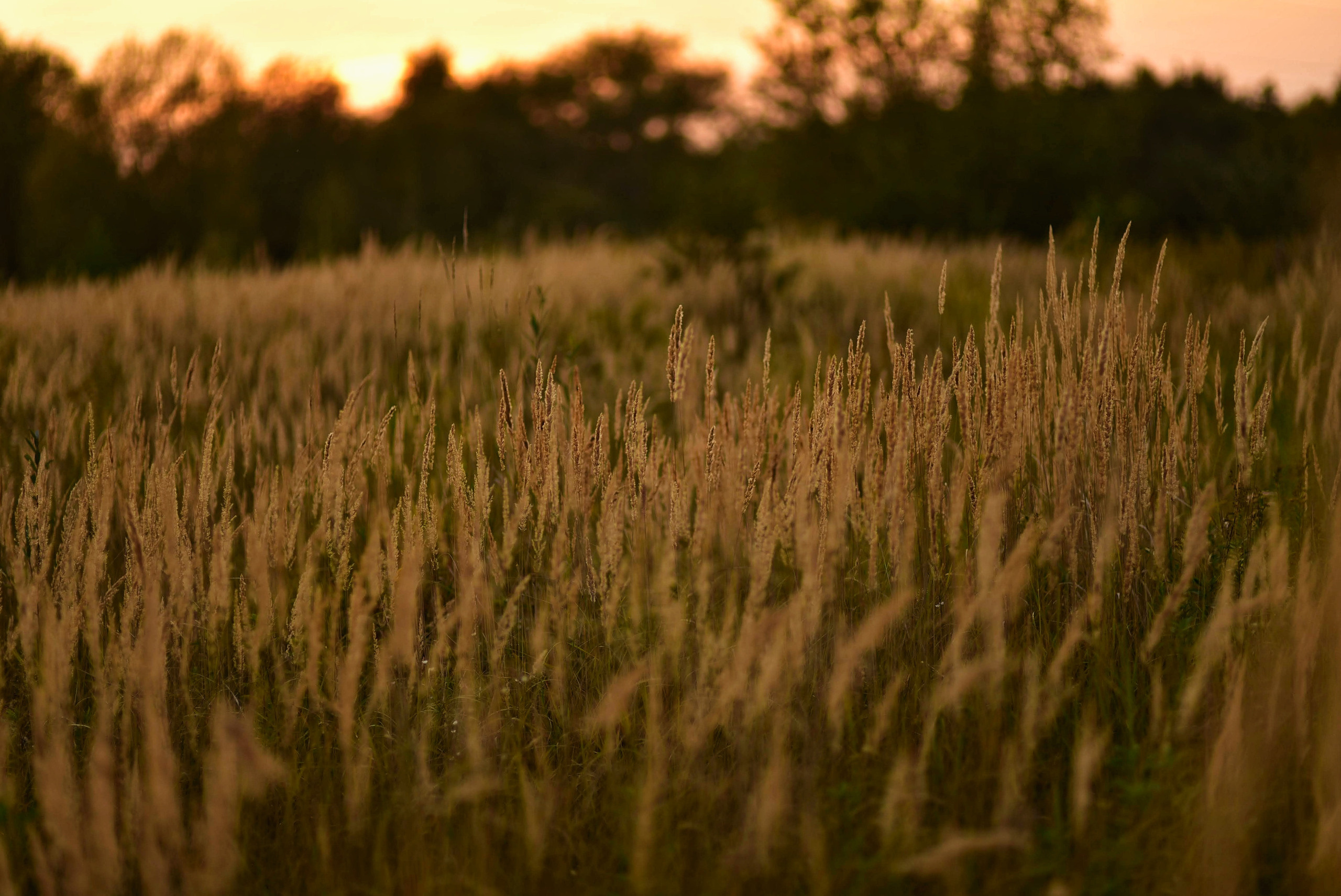 То ещё портфолио