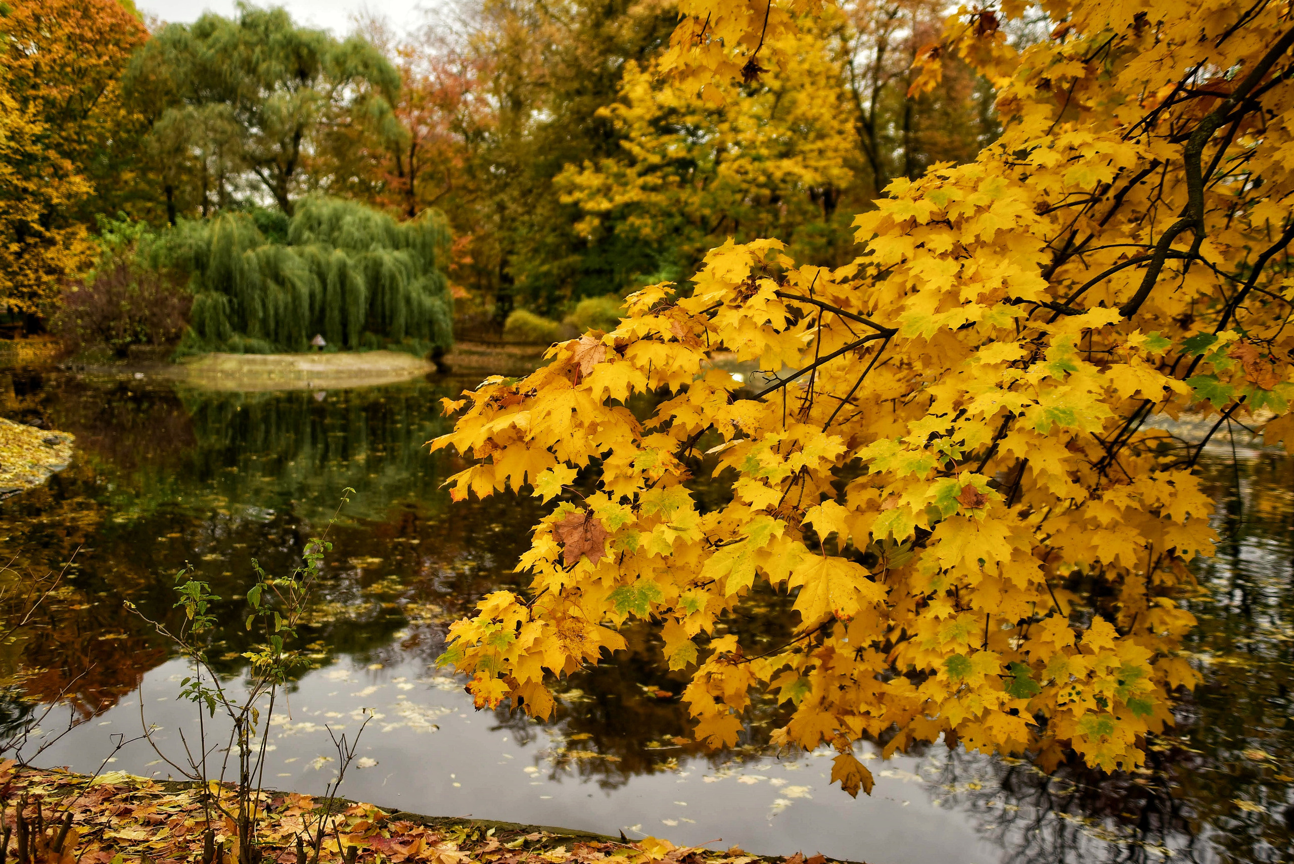 То ещё портфолио