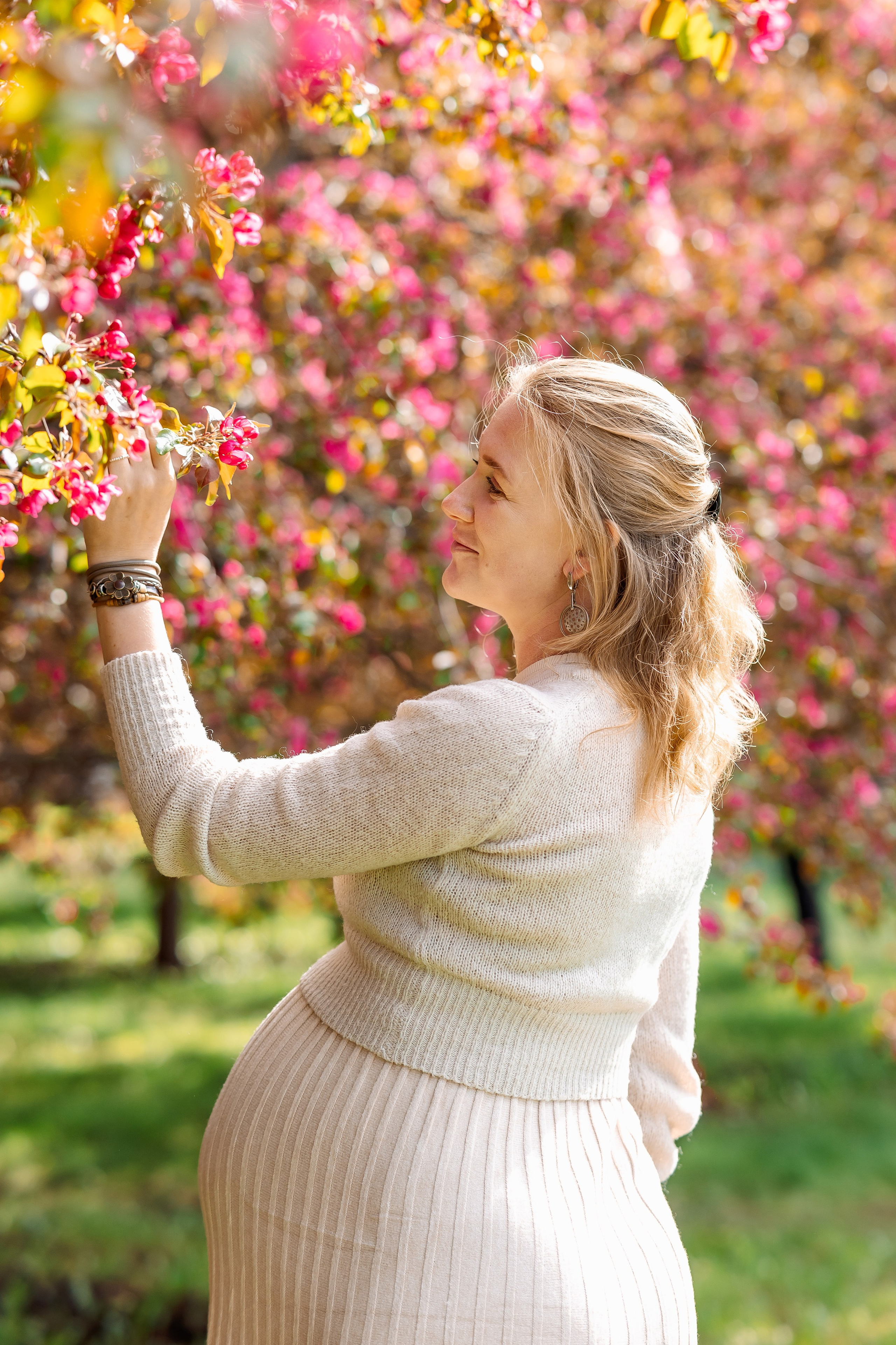 розовые яблони в саду