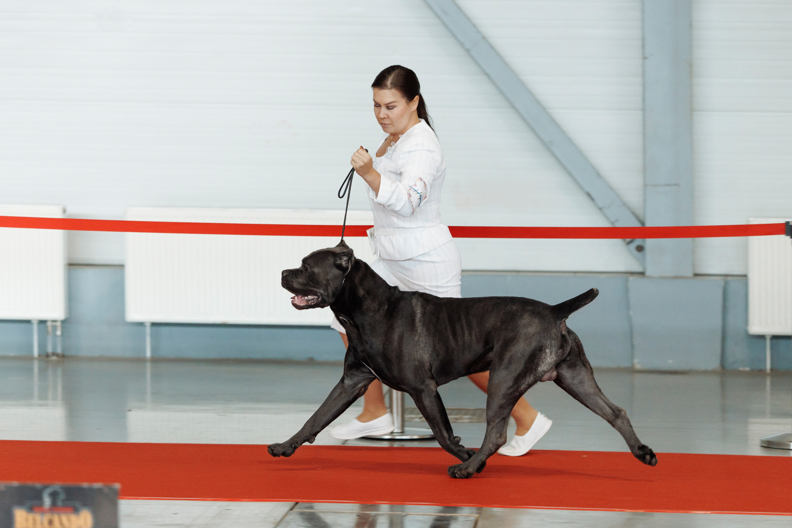 18/19.10.2025 — Екатеринбург. Фотограф-анималист Саша Вязьмина