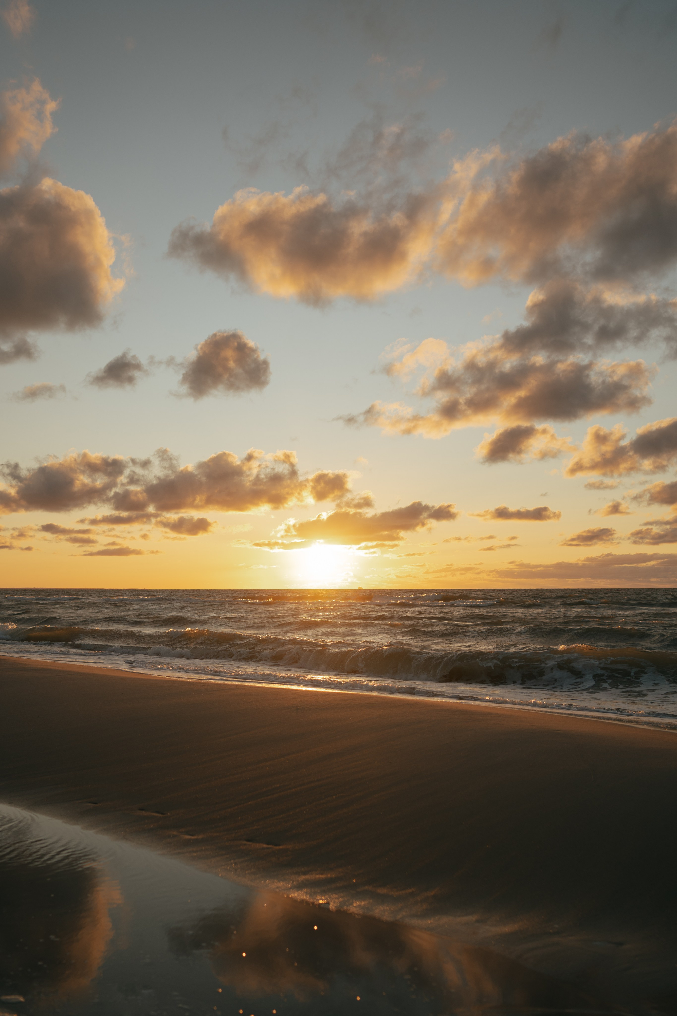 Алима & Никита. Куршская коса. Оформление свадеб, декор свадеб Вера Маркова, Москва