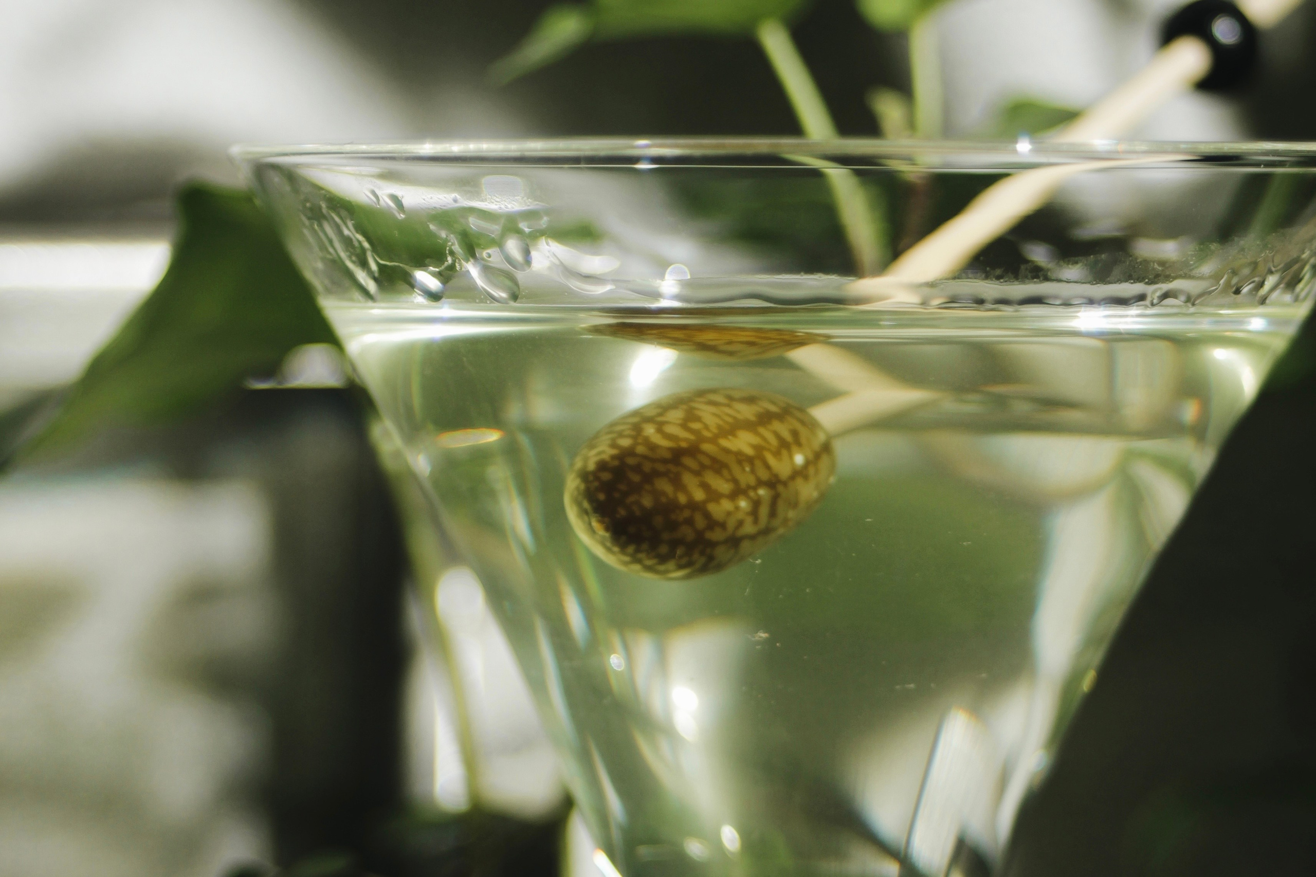 Soil. Света Голобородько, фудфотограф в Санкт-Петербурге