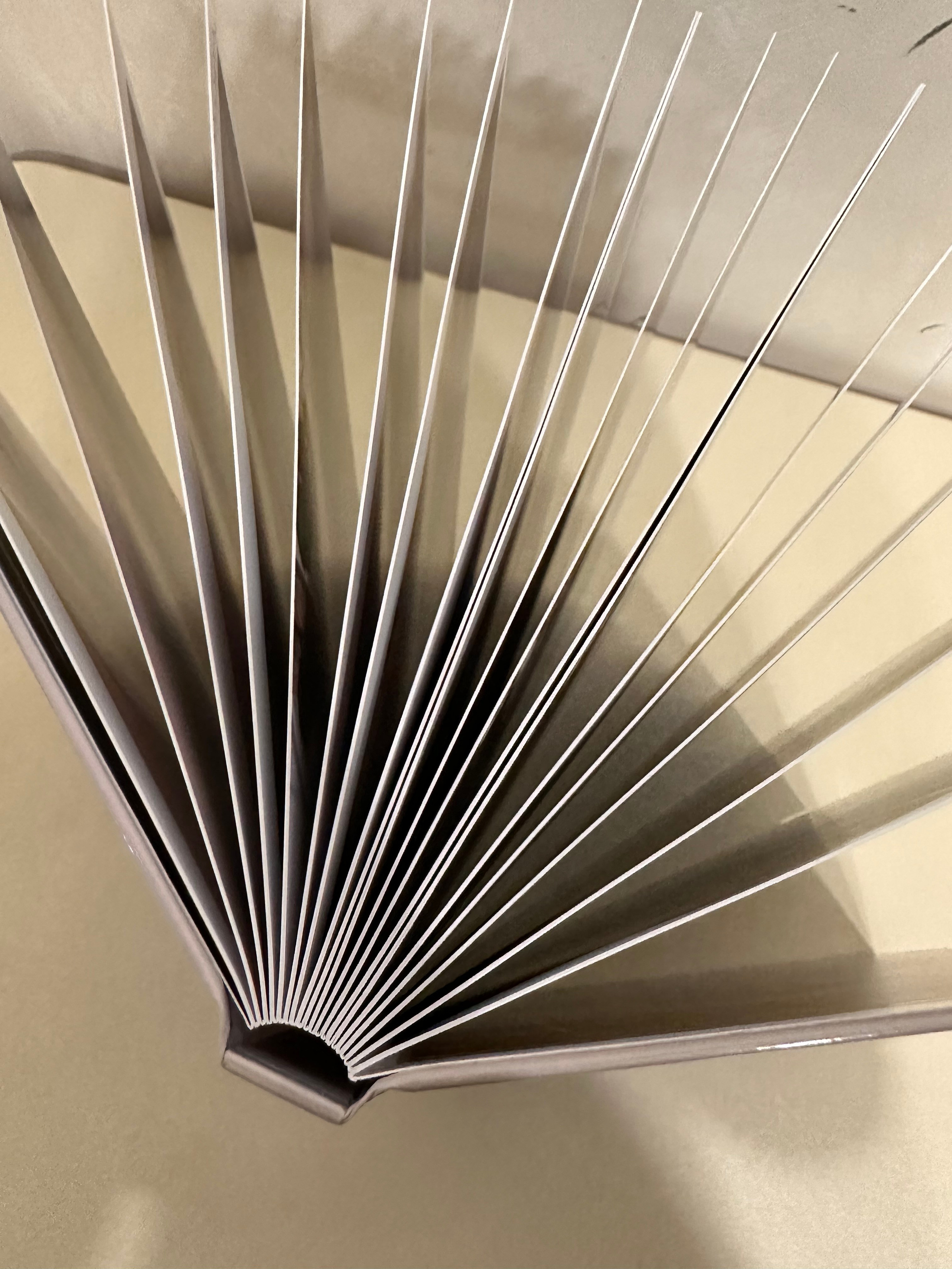 Книга лайфлат. Фотограф г. Пенза — Светлана Зойкина