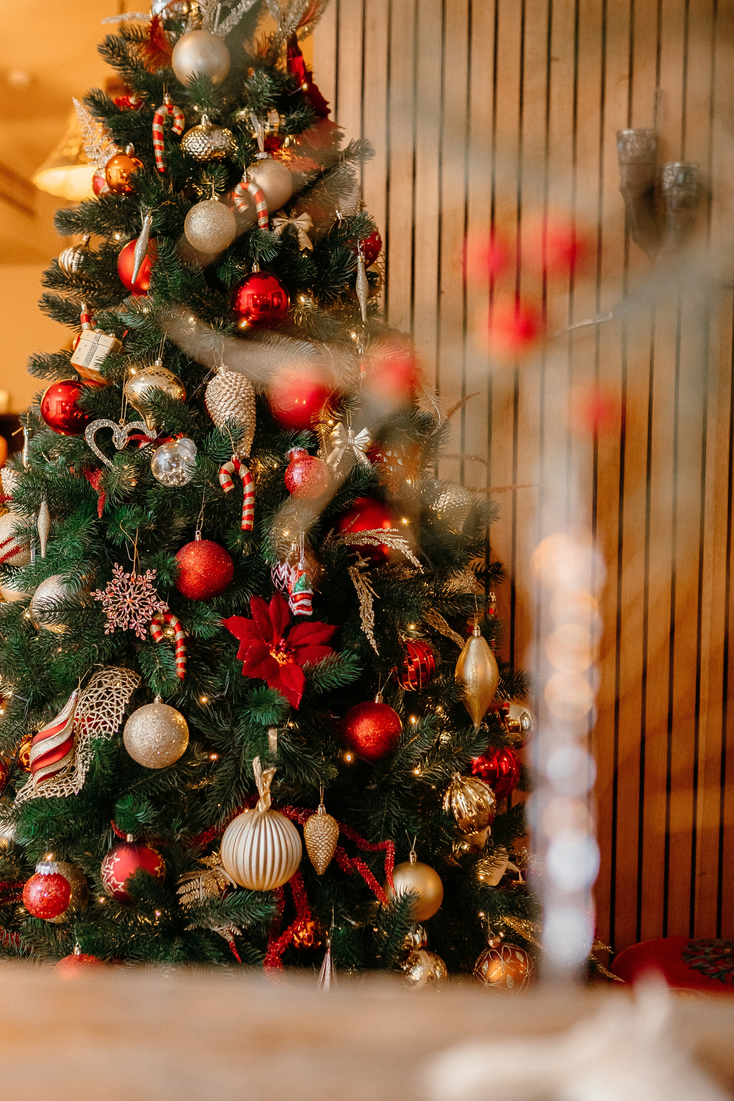 Корпоратив новогодний. Elena Sova — семейный и женский фотограф в Санкт-Петербурге