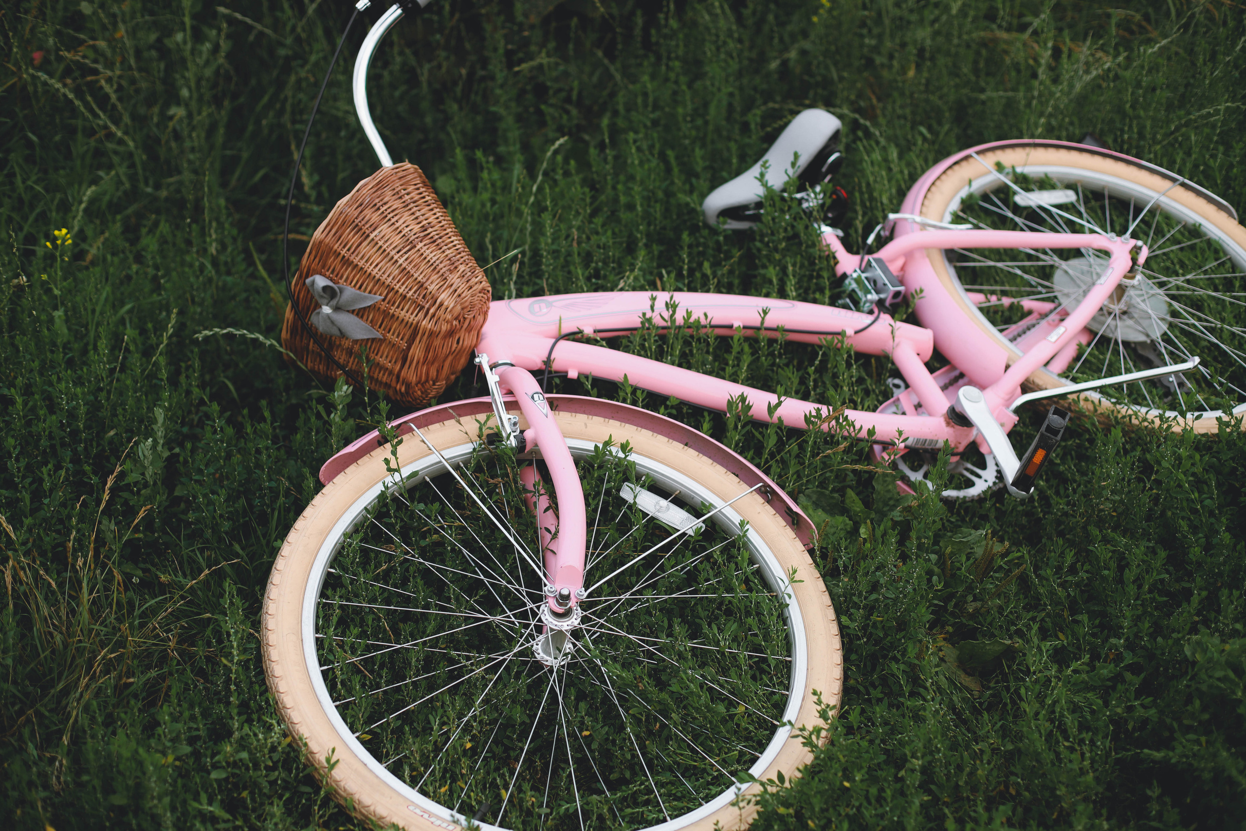 Велосипед. Фотограф в Сургуте Брызгунова Анастасия