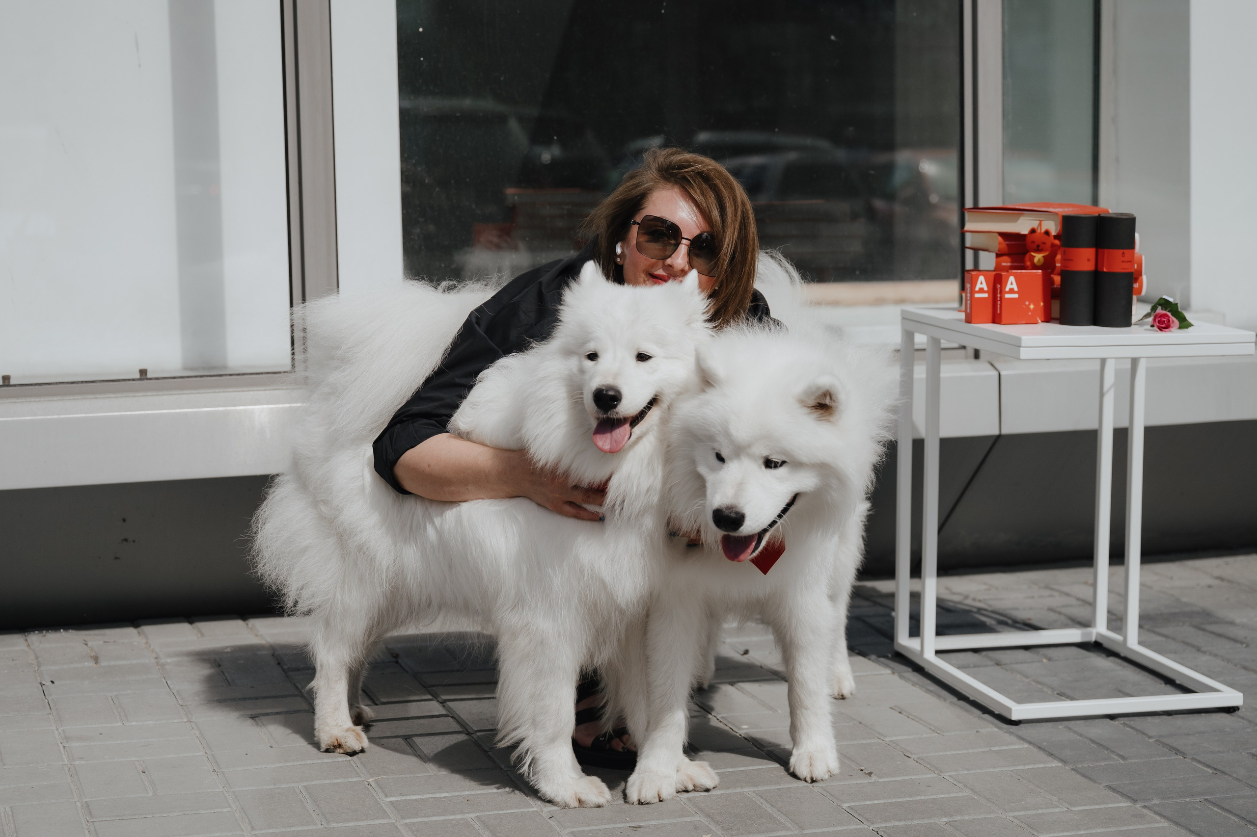 Альфа банк Карла Маркса 55. Фотограф Кристина Тумаева. Самоед Новосибирск