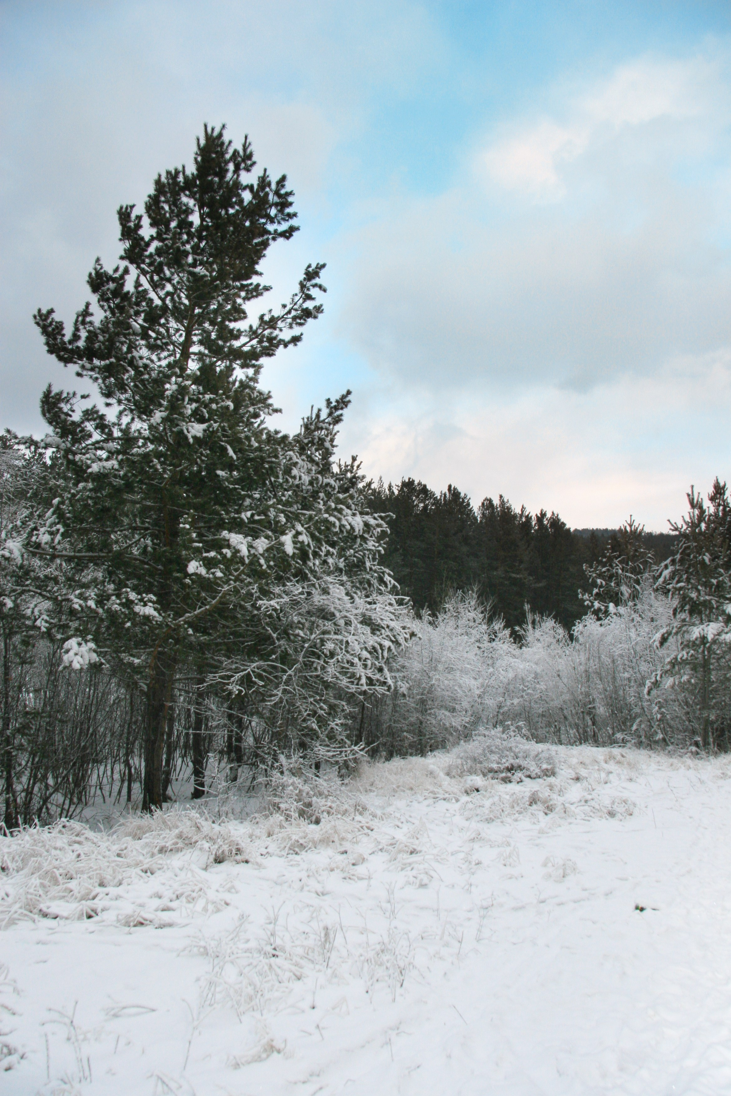 Фото Природы Забайкалья. Студия Максима Белослюдцева