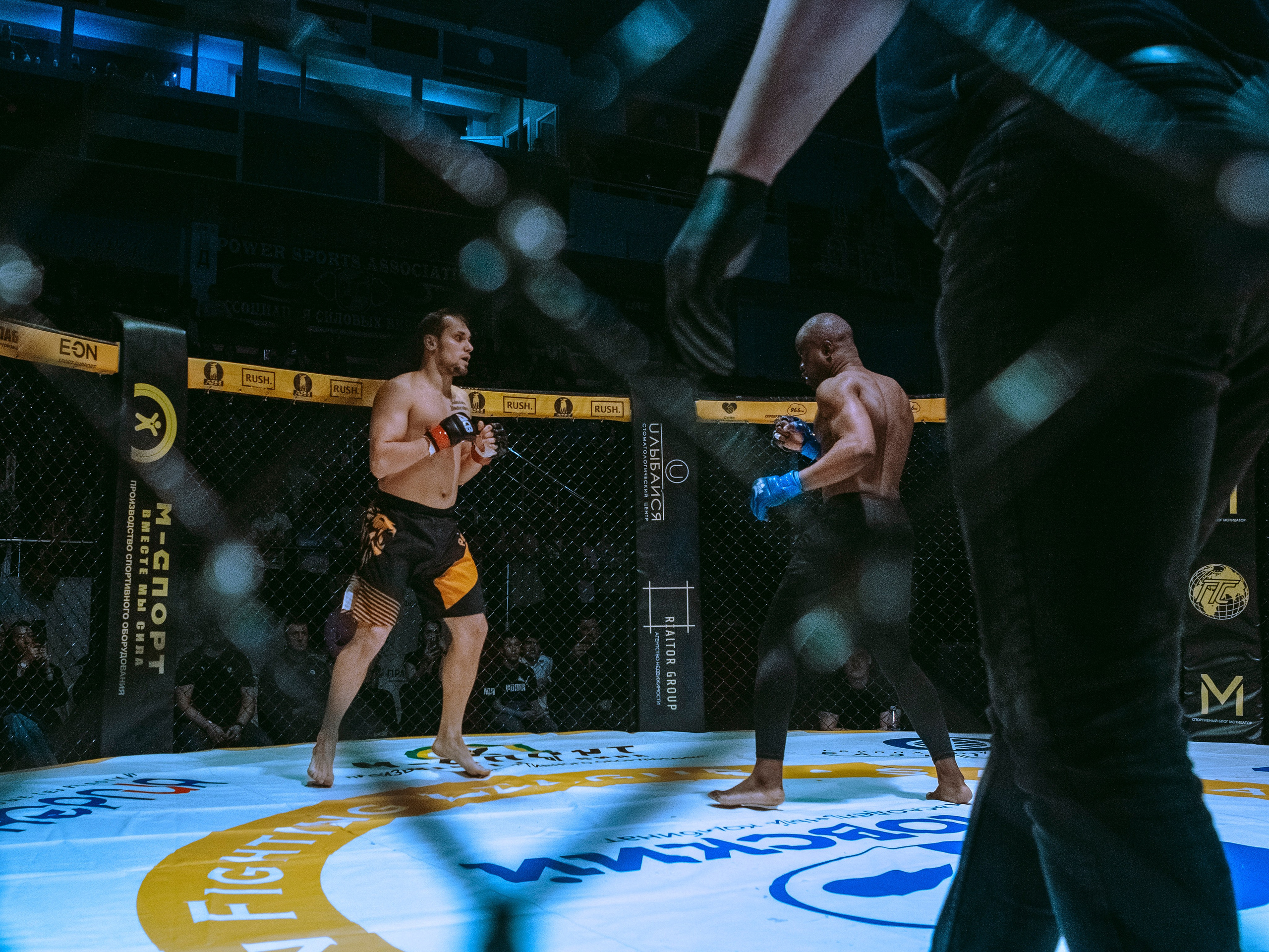 SFL 17 | Siberian Fighting League. Портретный фотограф в Москве Дарья Цезария