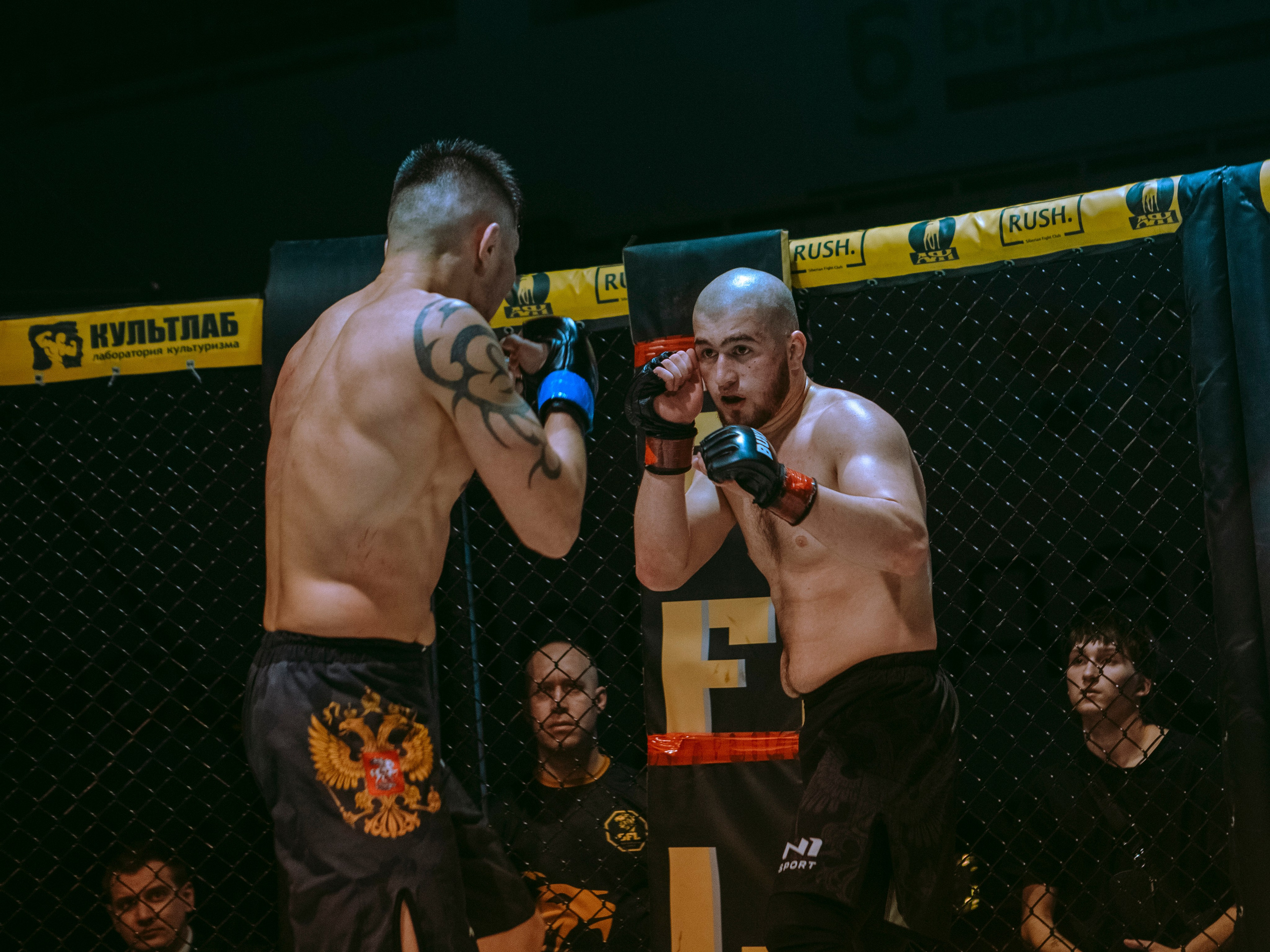 SFL 17 | Siberian Fighting League. Портретный фотограф в Москве Дарья Цезария