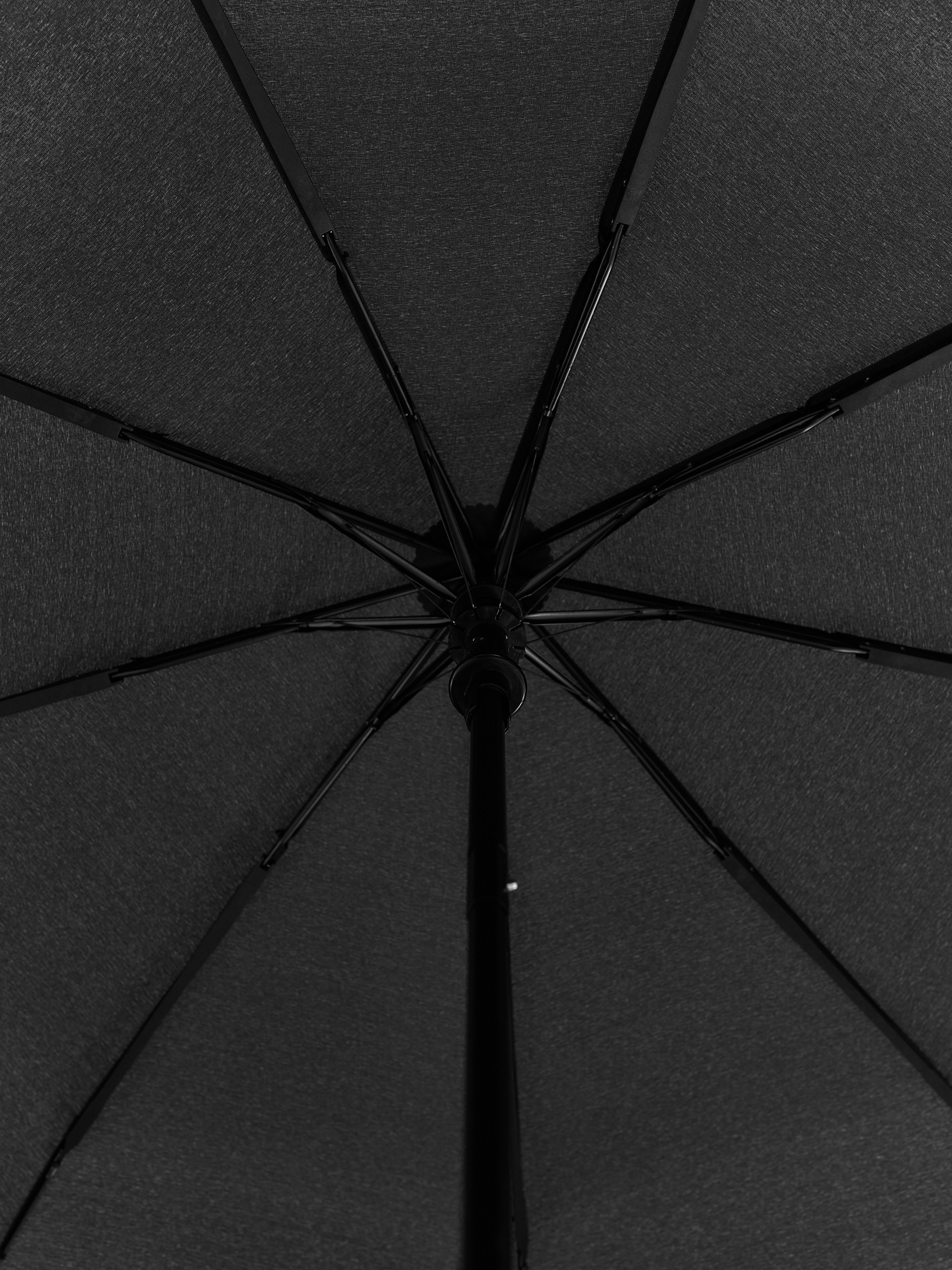 Dolphin. Zubkov Jan Hochzeitsfotograf Deutschland