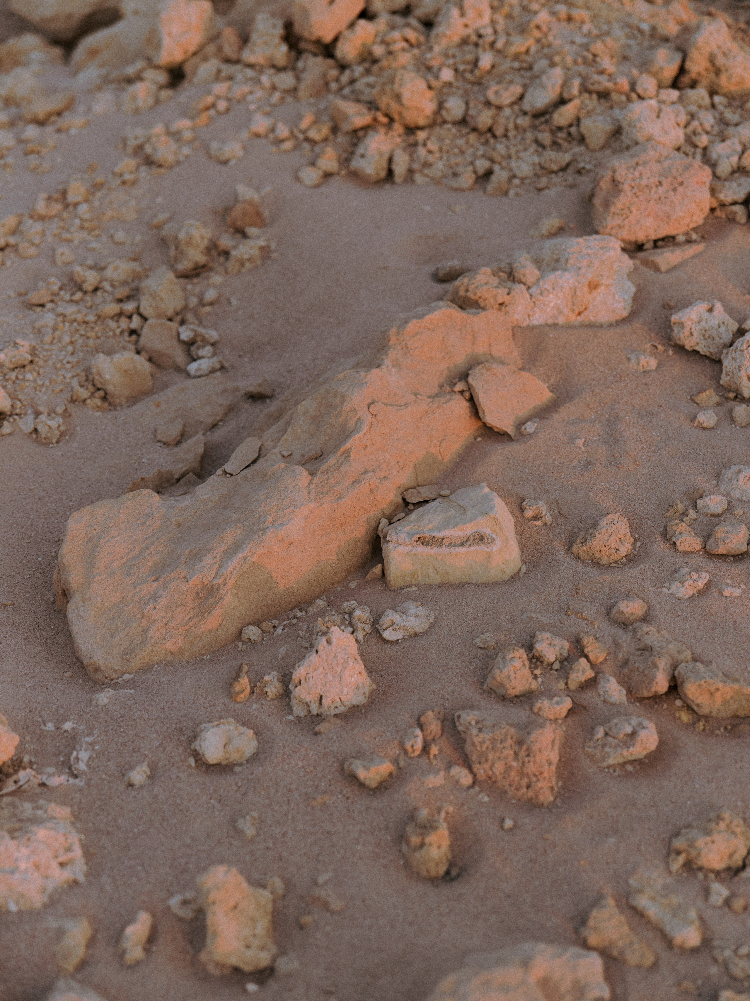 Другое 2. Jorgis Talè — photographer, kind person, teacher of arts and other mag