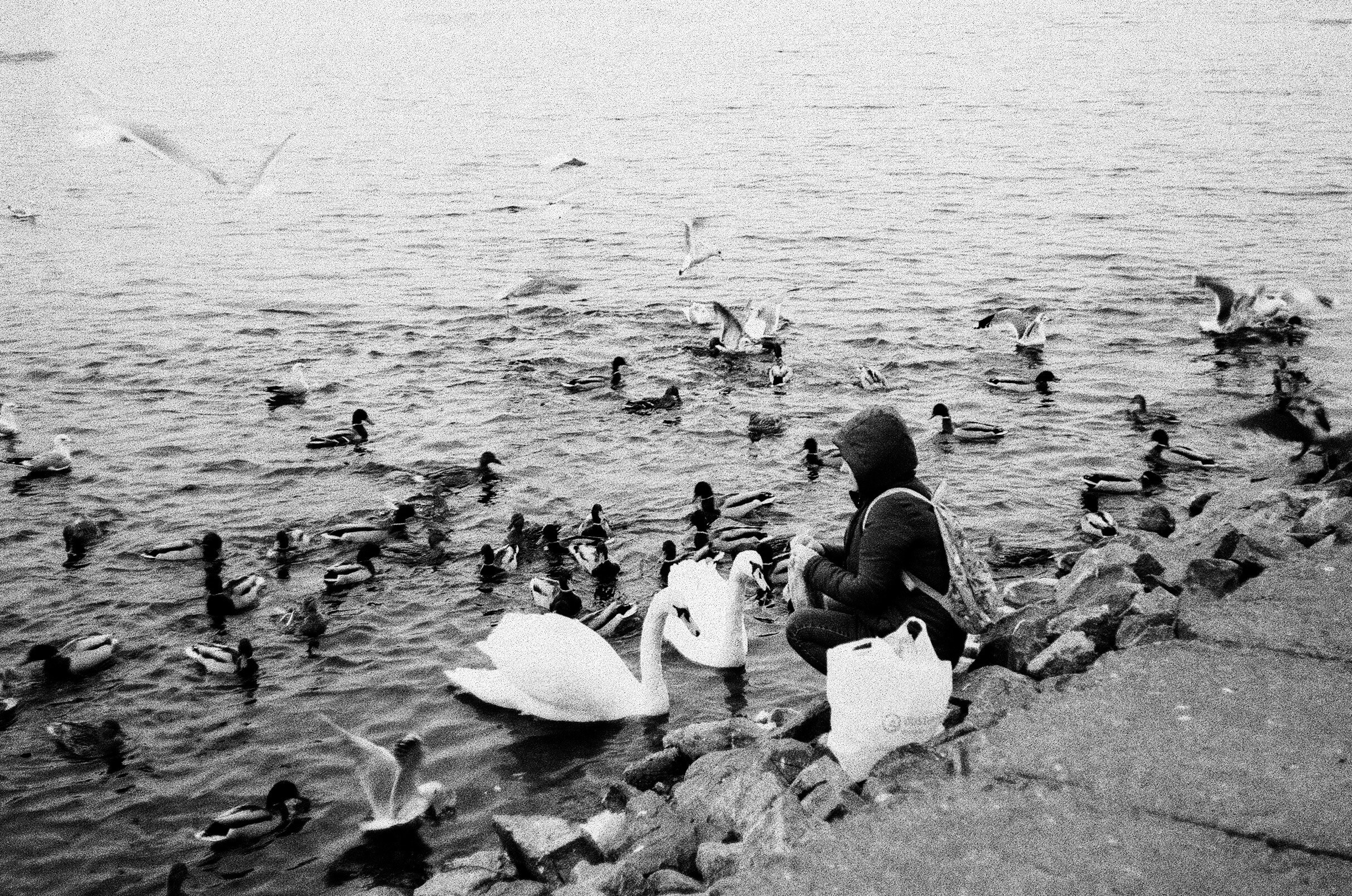 Вояж. Фотограф — Маслеников Константин