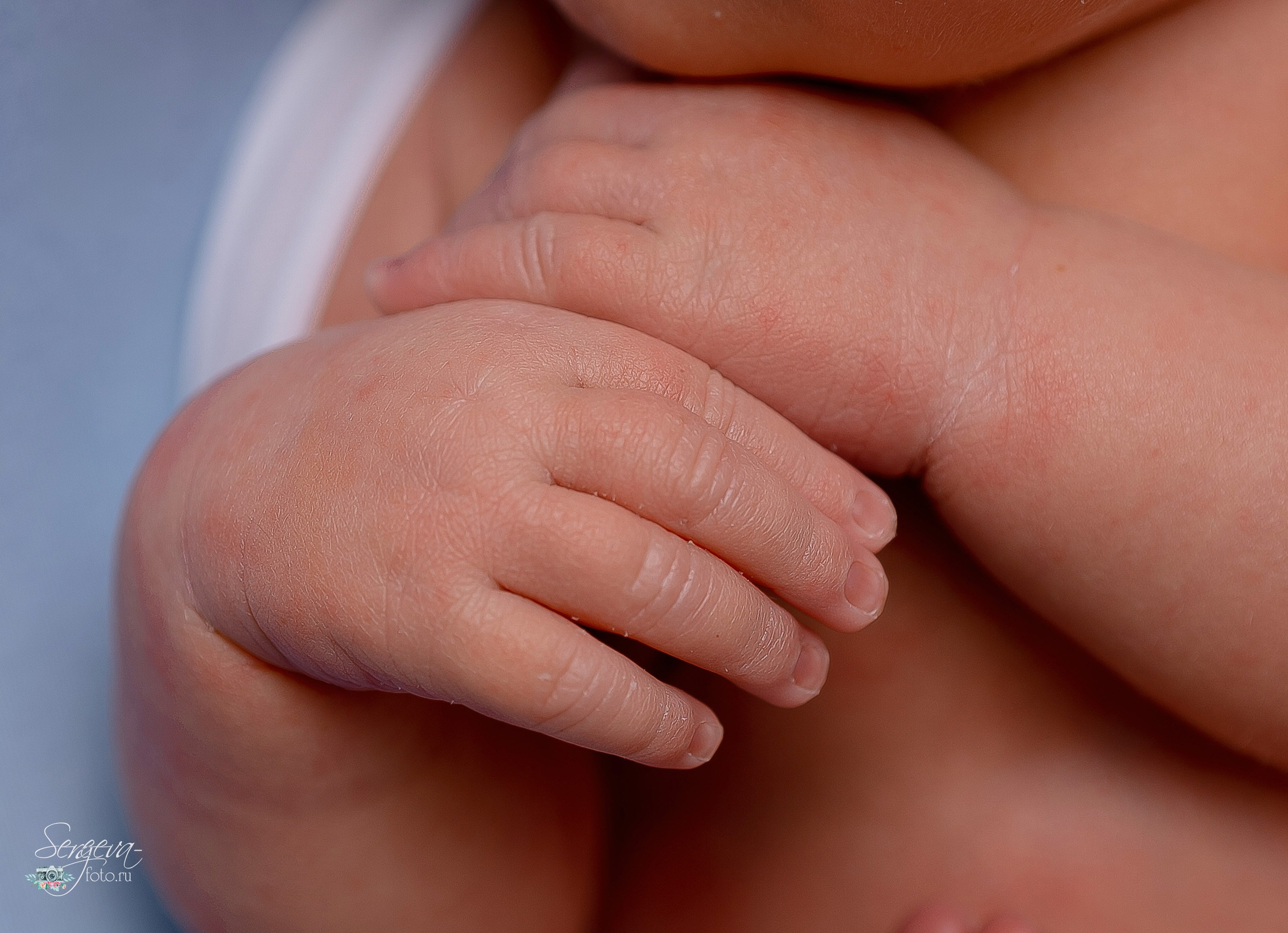 Софья 7 дней. Фотограф новорожденных в Нижнем Новгороде Сергеева Оксана