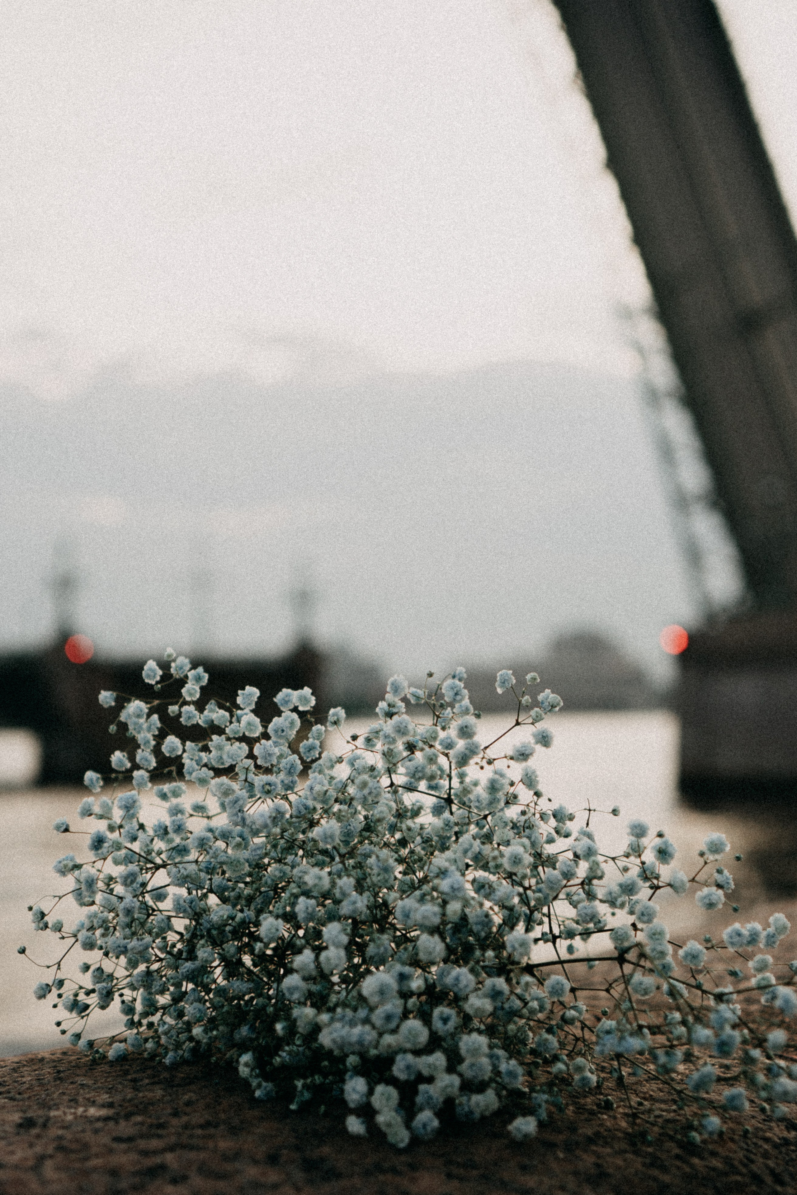 Рассветная. Профессиональный фотограф, Санкт-Петербург — Виктория Богомолова