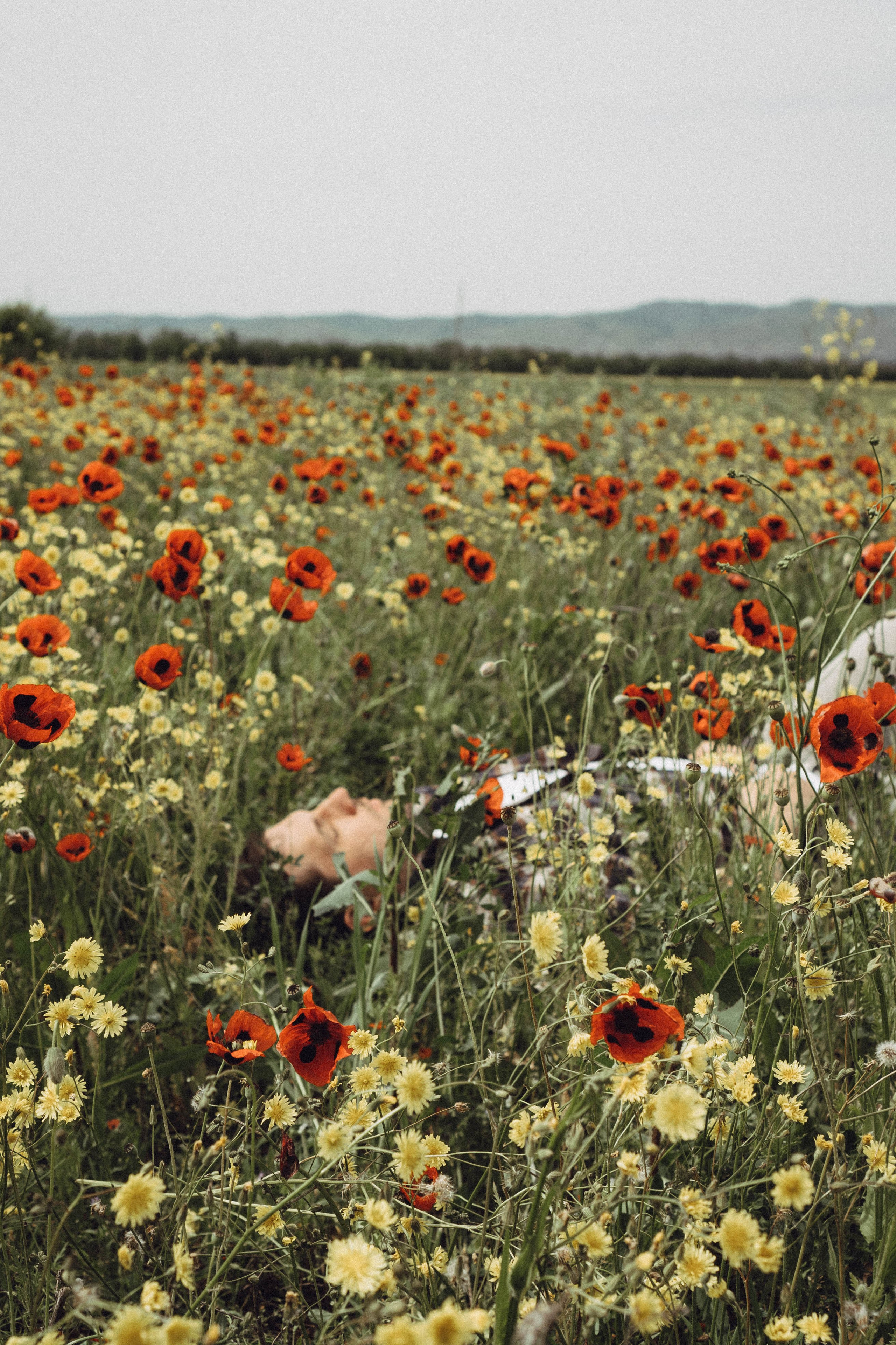 Маки. Профессиональный фотограф, Санкт-Петербург — Виктория Богомолова