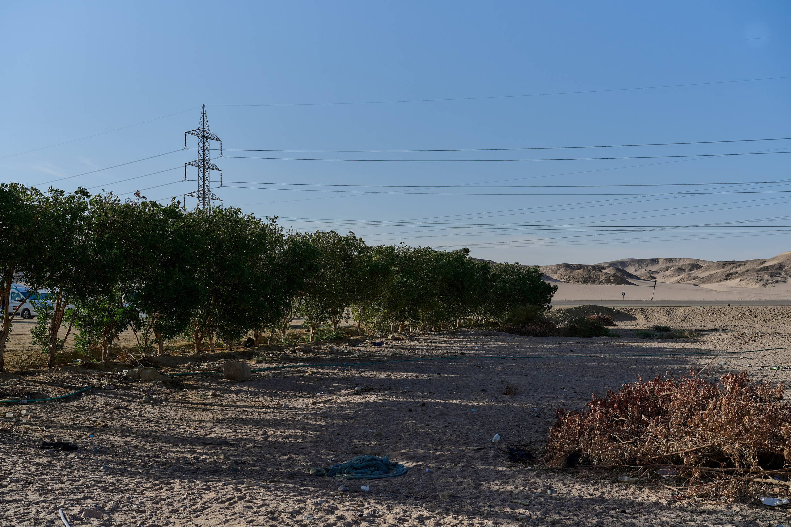 Луксор. Февраль 2025. Фотограф Роман Адлер