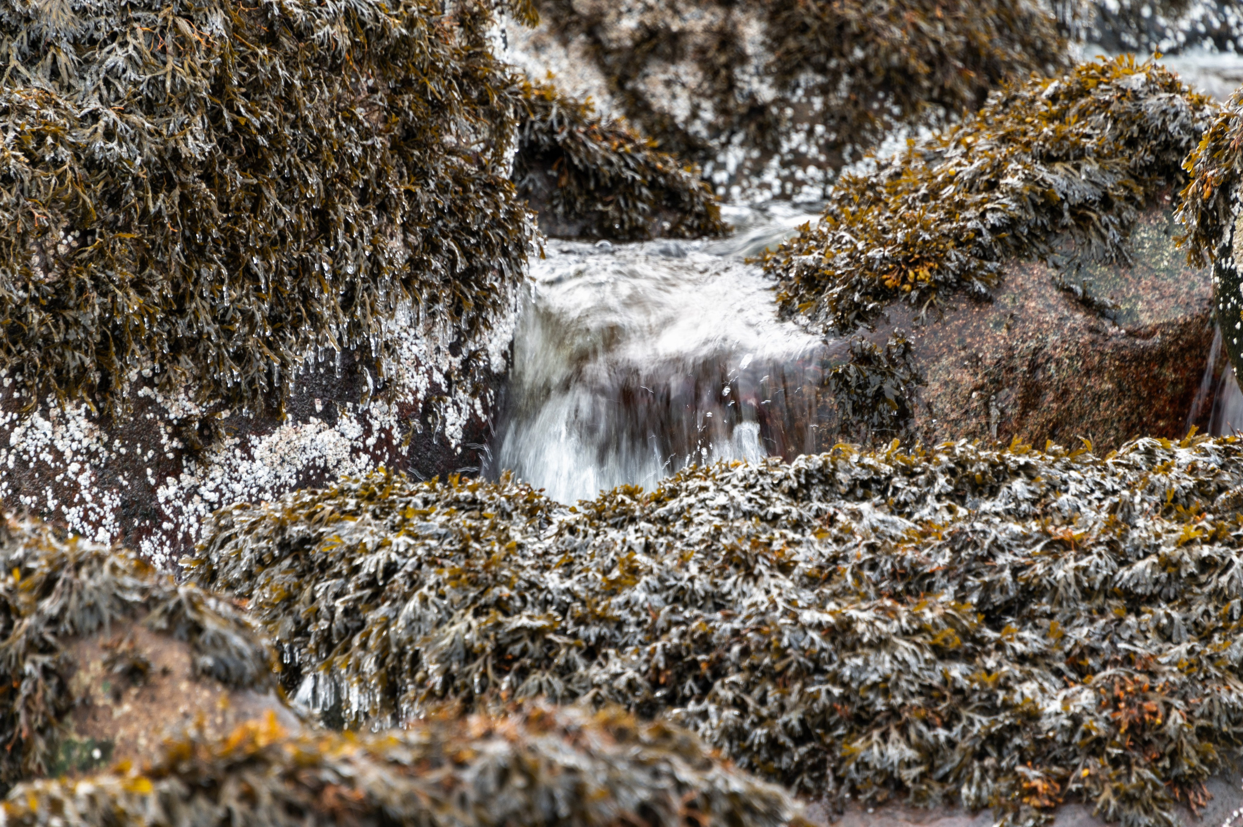 Териберка. Ноябрь 2023. Фотограф Роман Адлер