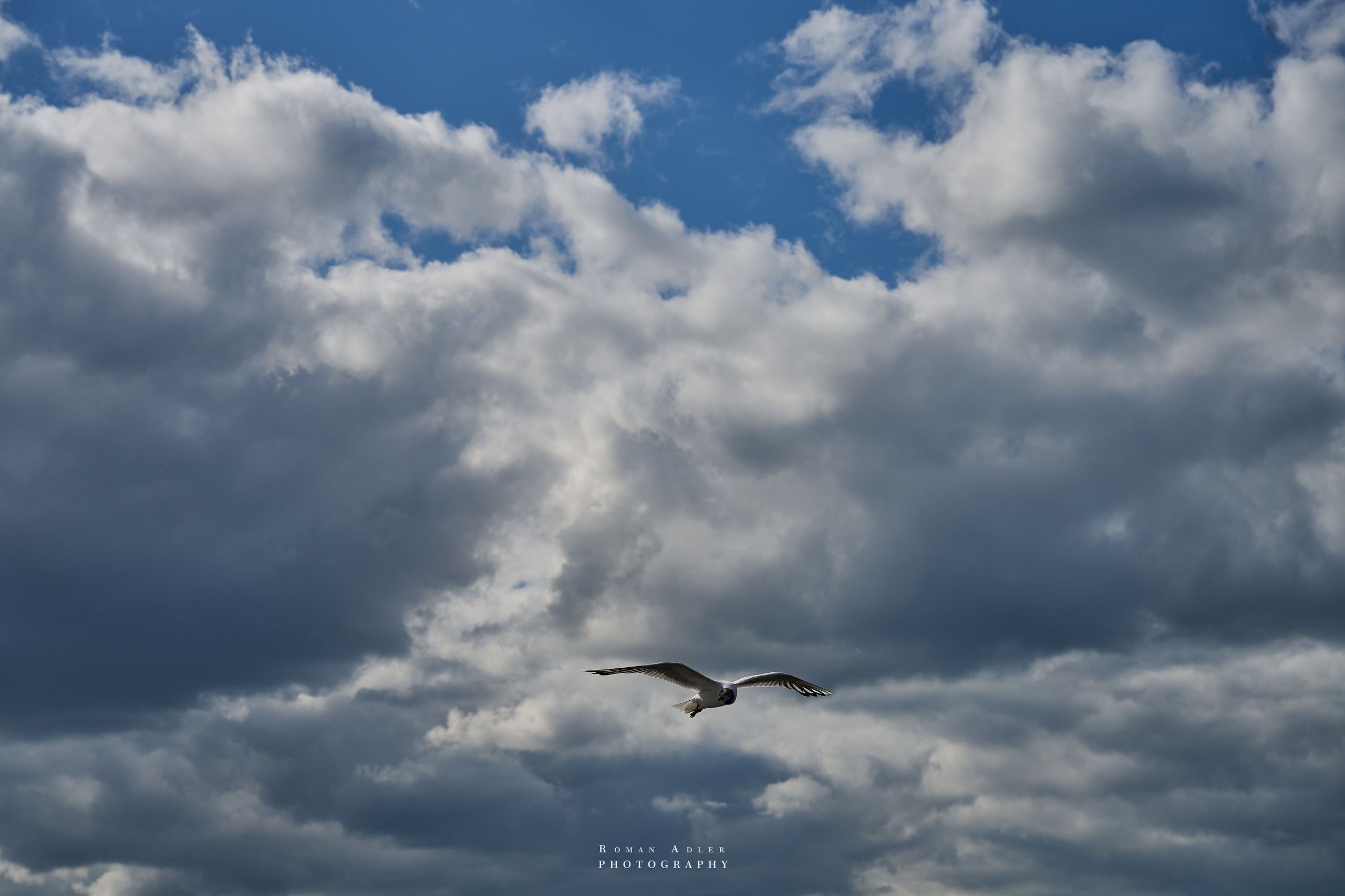 Пермь. Июль 2025. Фотограф Роман Адлер