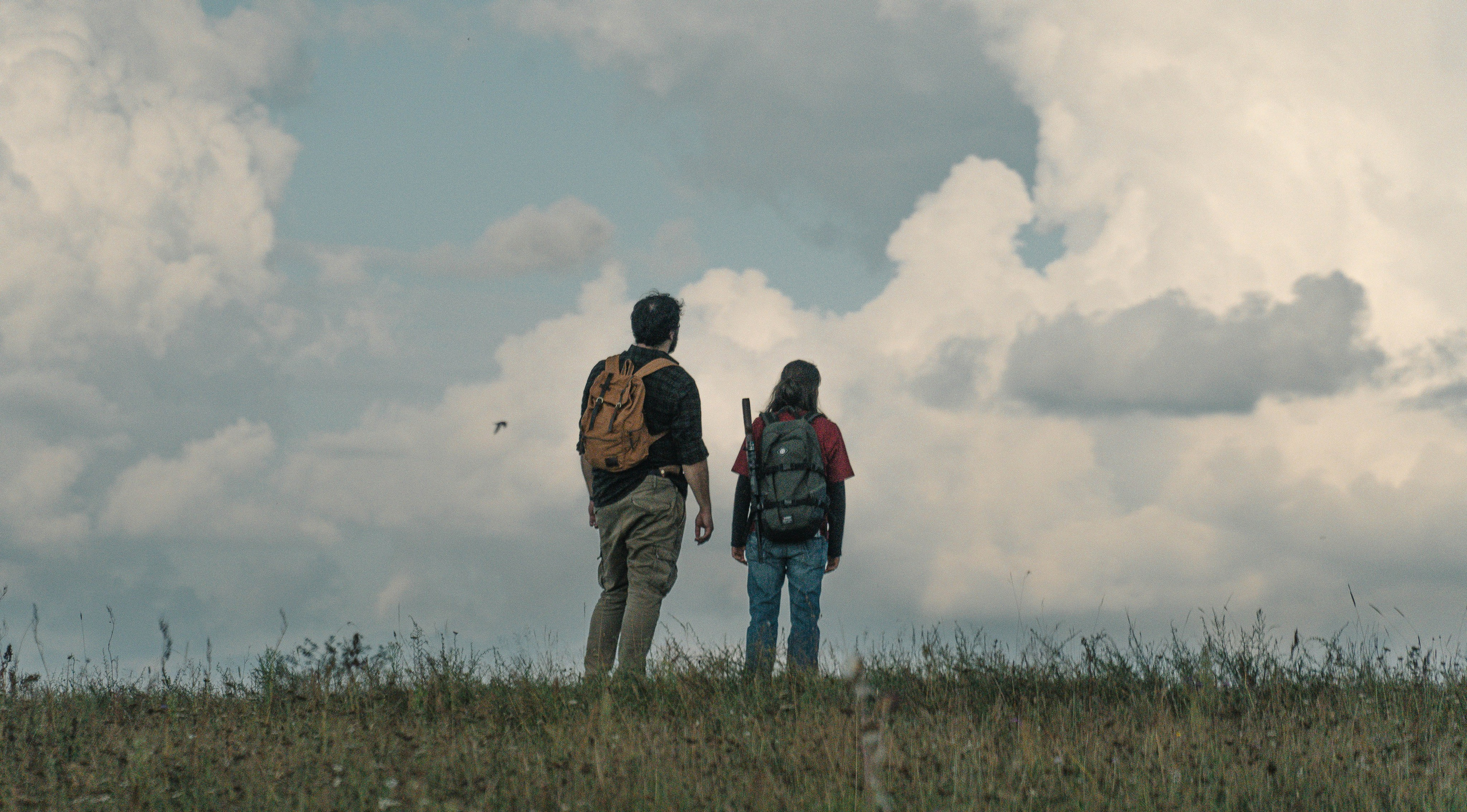 Фотосессия The Last of Us (Одни из нас). Светофография