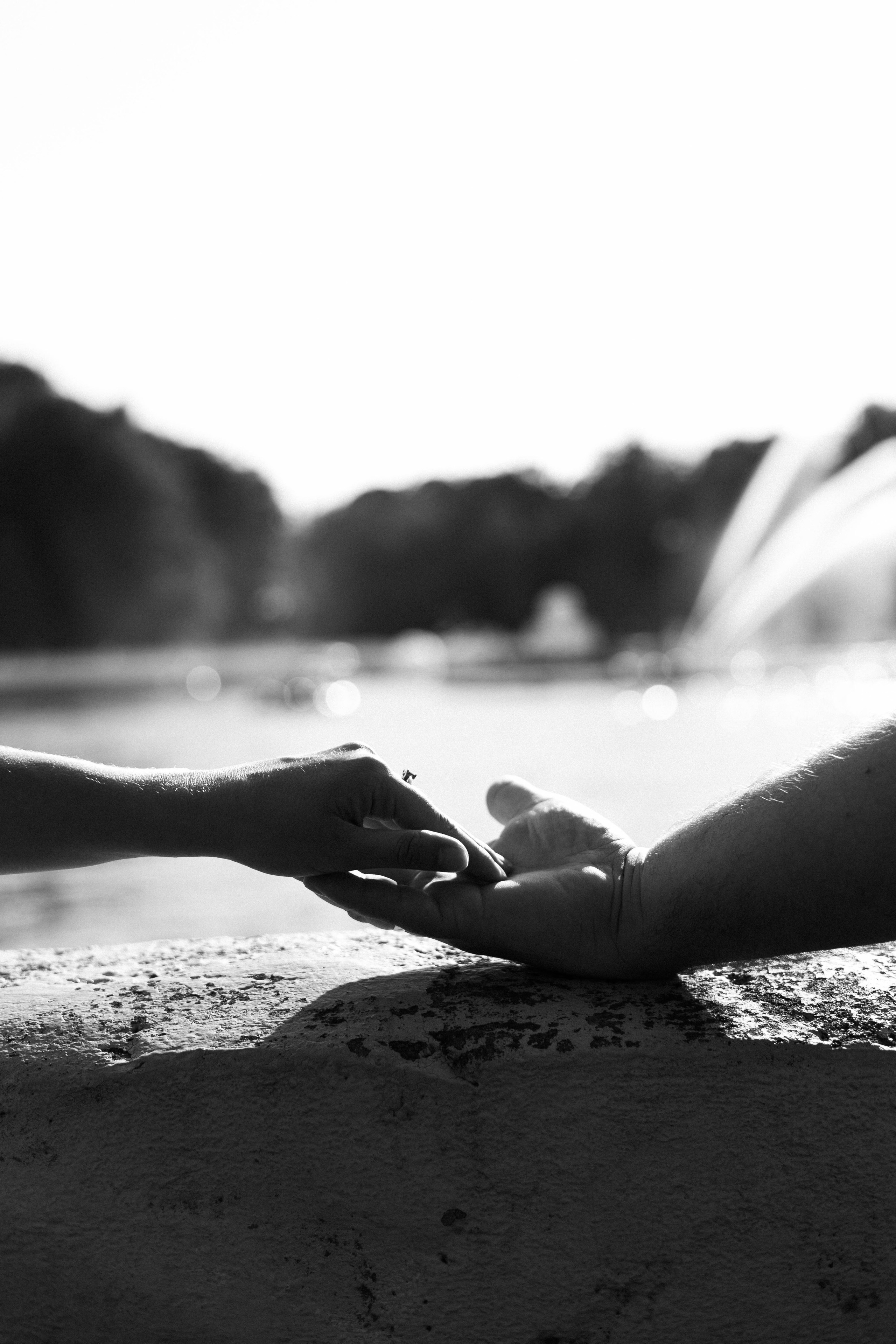 Анна & Андрей. Свадебный и портретный фотограф Соломко Диана