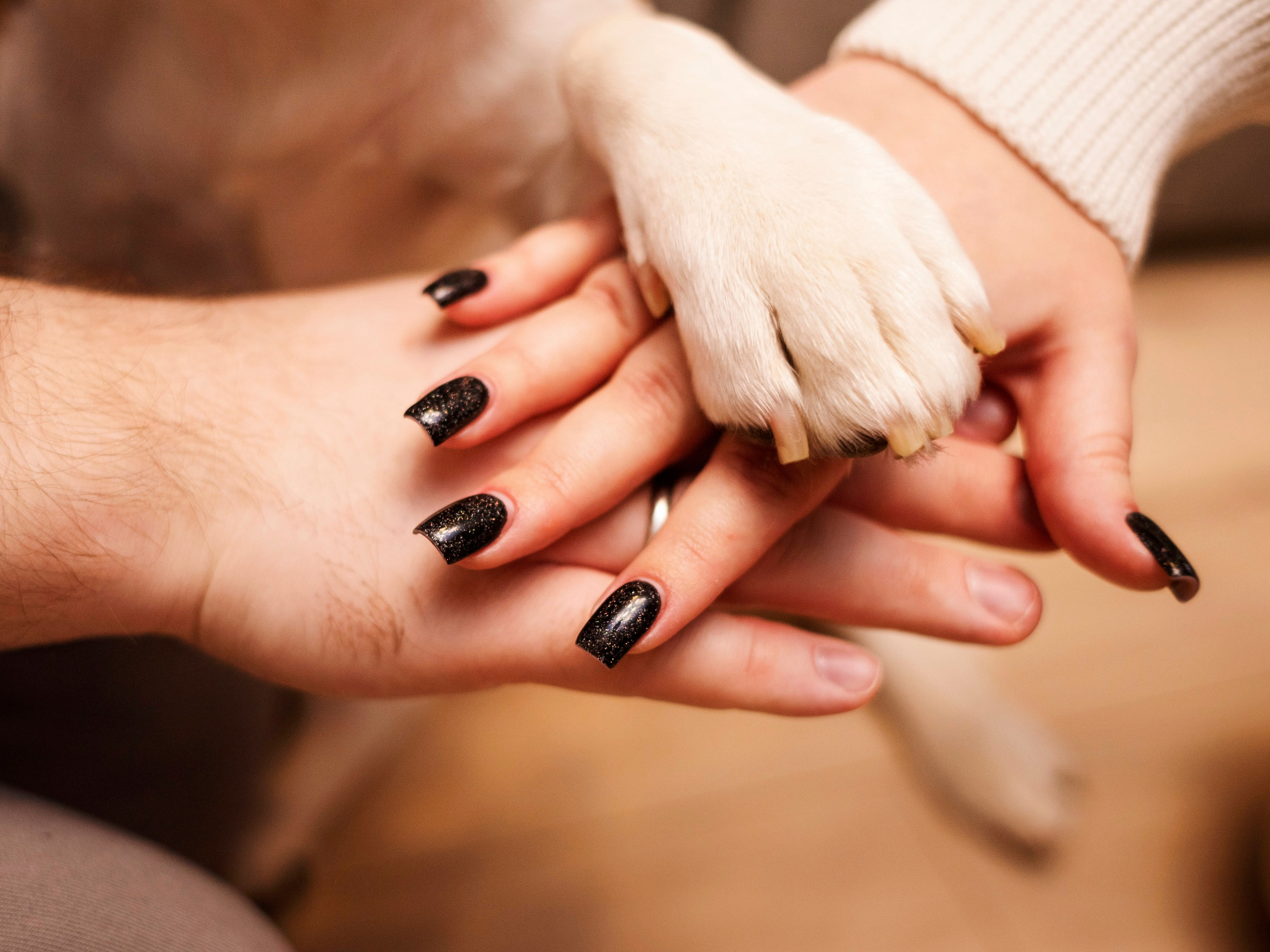 Дома. Photographer in Montenegro Tatiana Talaeva