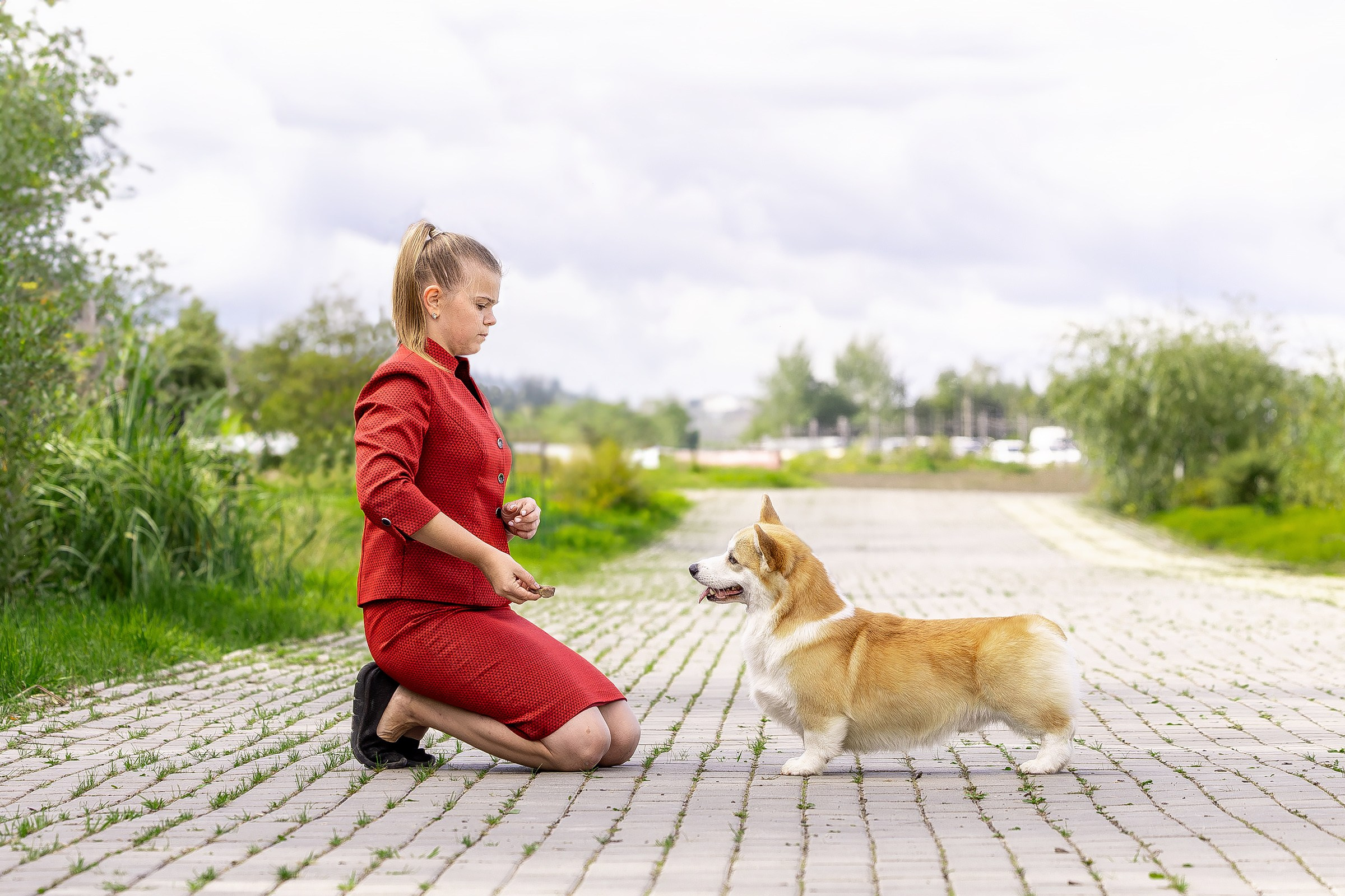 30 августа 2025, Выставка РКФ, г. Челябинск. Htykk_photo