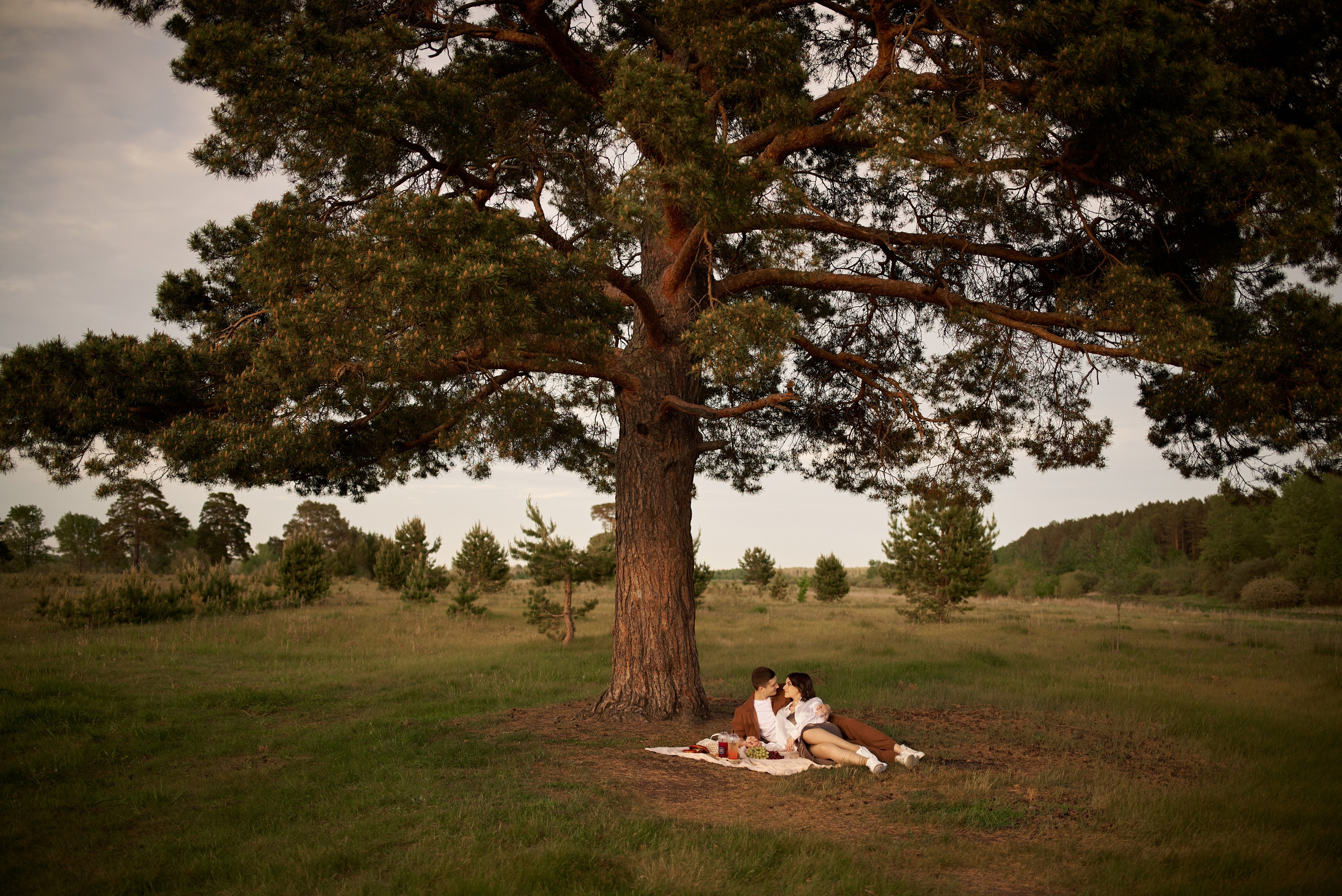 Пикник для Иры и Славы | lovestory. Свадебное агентство ArtWedding Организация свадеб в Тюмени