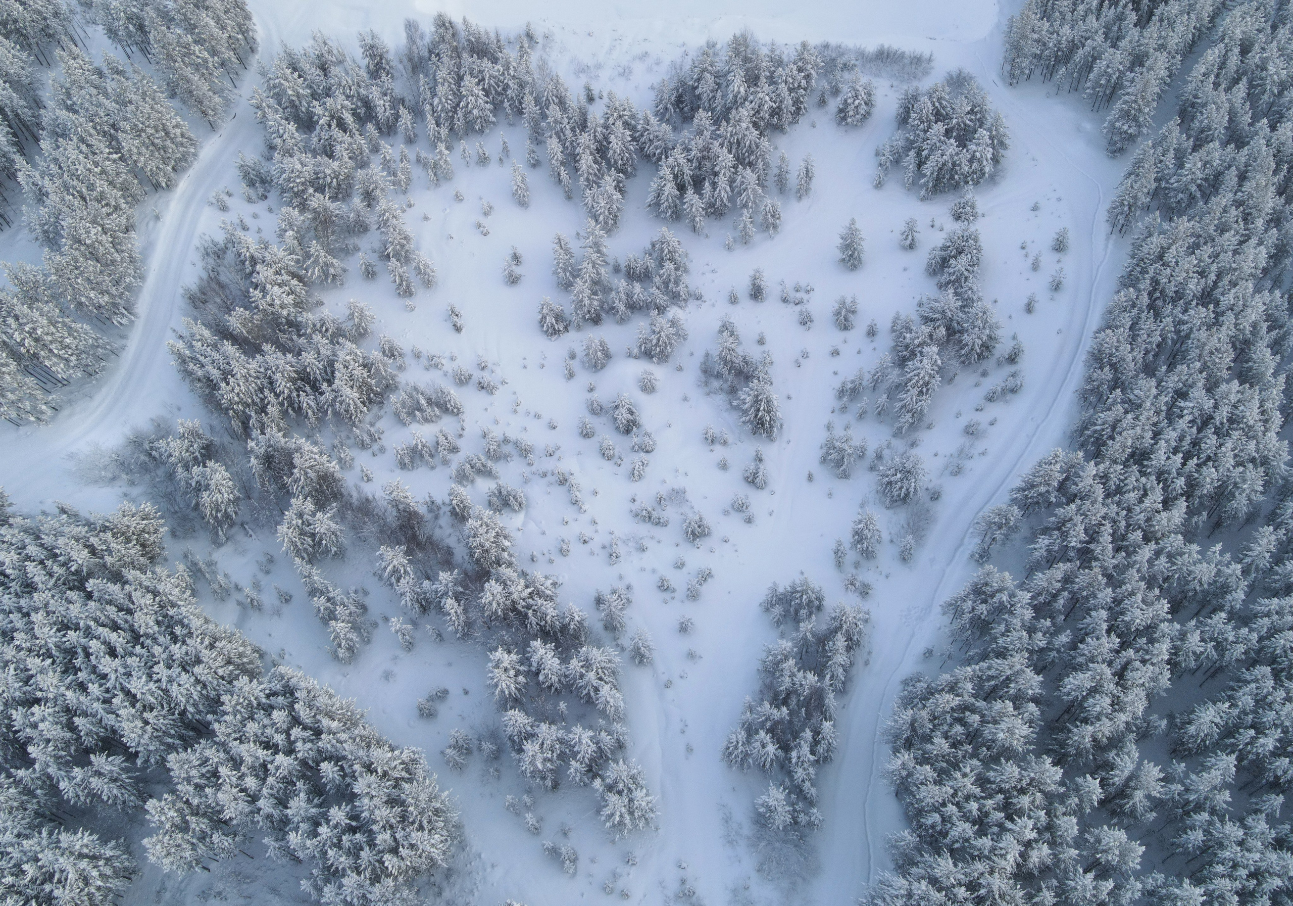 ПРИРОДА С ДРОНА. Фотограф Татьяна Борисова