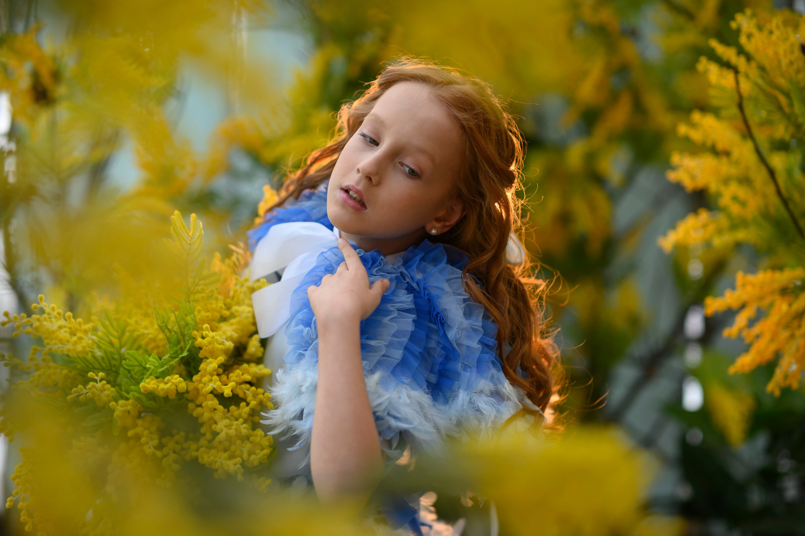 МИМОЗА. Семейный фотограф Екатеринбург Лора Мур