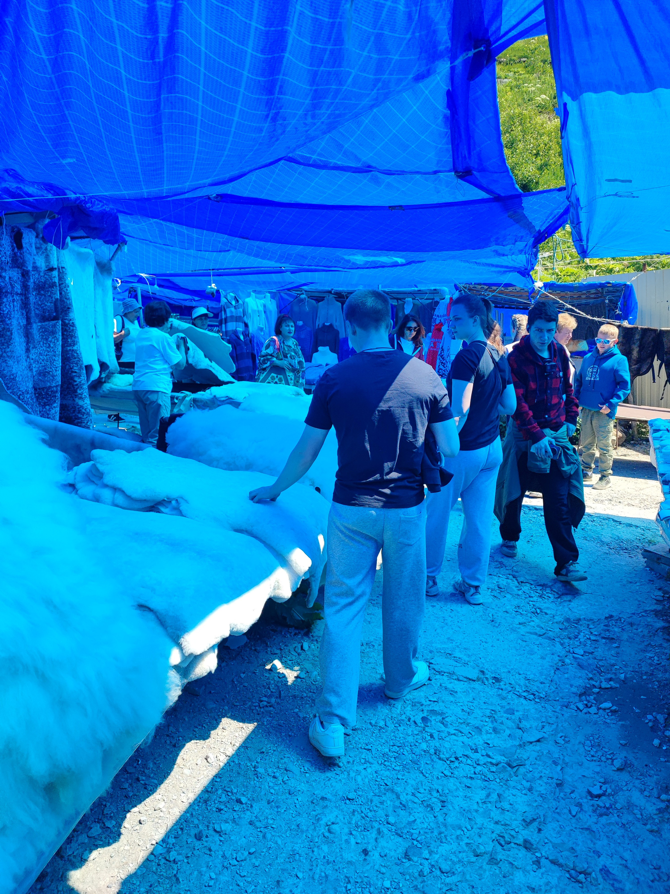 Намобилкус кавказский. Репортажный фотограф Алексей Пирязев