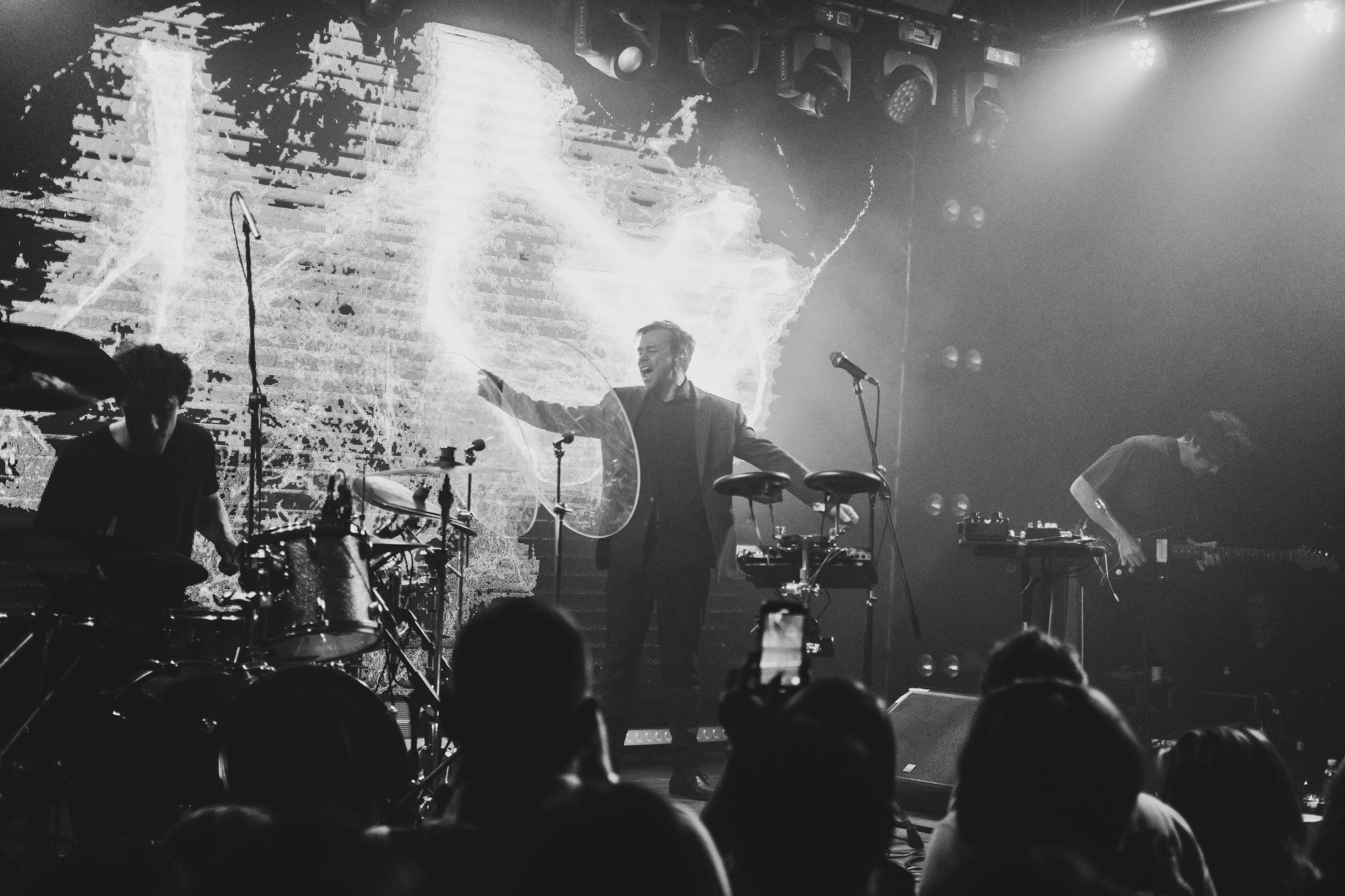 Дельфин. Репортажный фотограф Алексей Пирязев