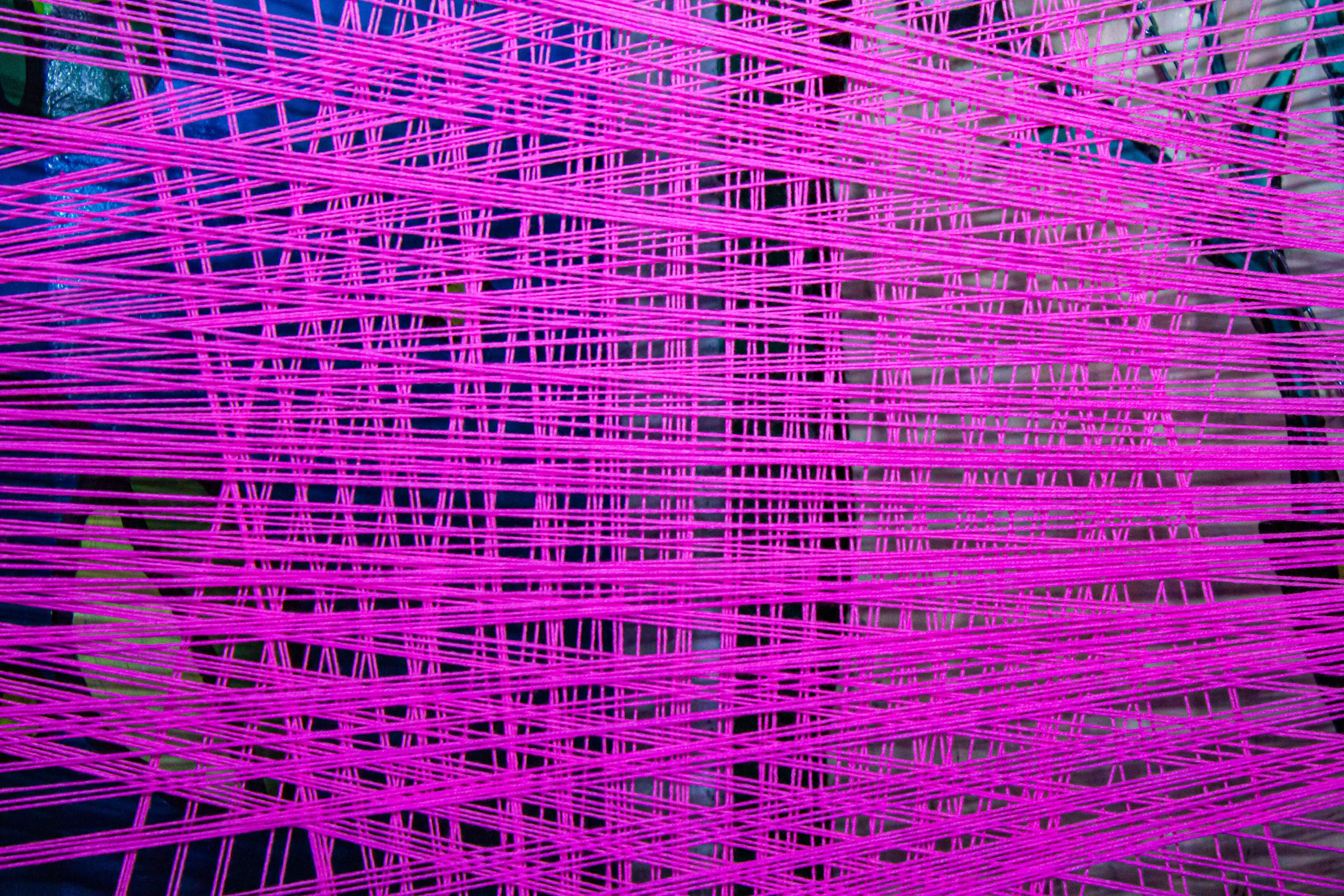 НЕ ТЕМНО_ЛИЦЕЙ им. С. П. ДЯГИЛЕВА 2025