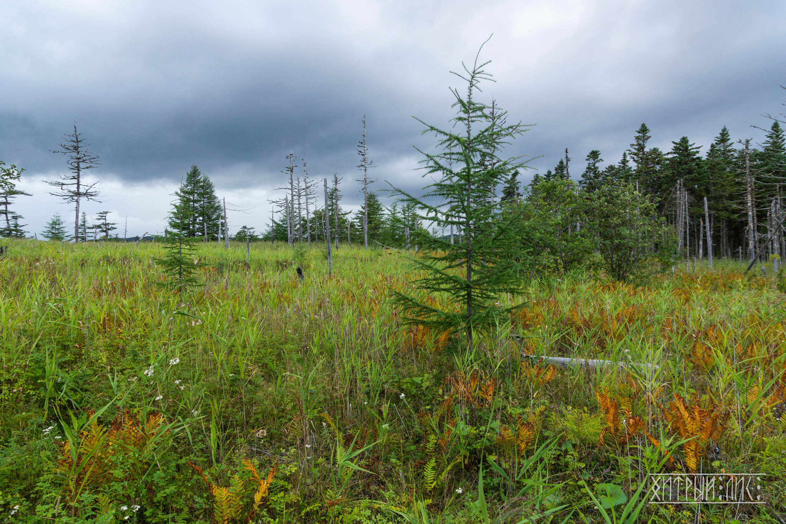 Сахалин. Фотограф-путешественник Самойлов Максим «Sly Fox»