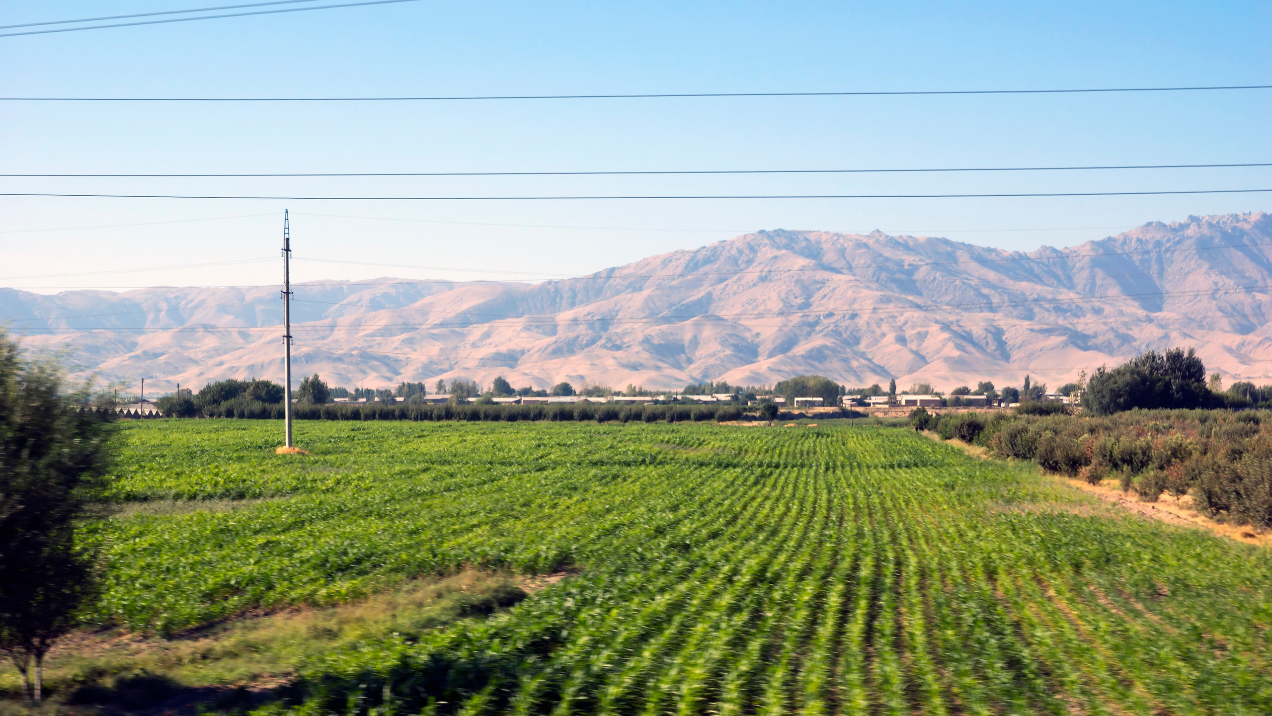 Узбекистан. Фотограф-путешественник Самойлов Максим «Sly Fox»