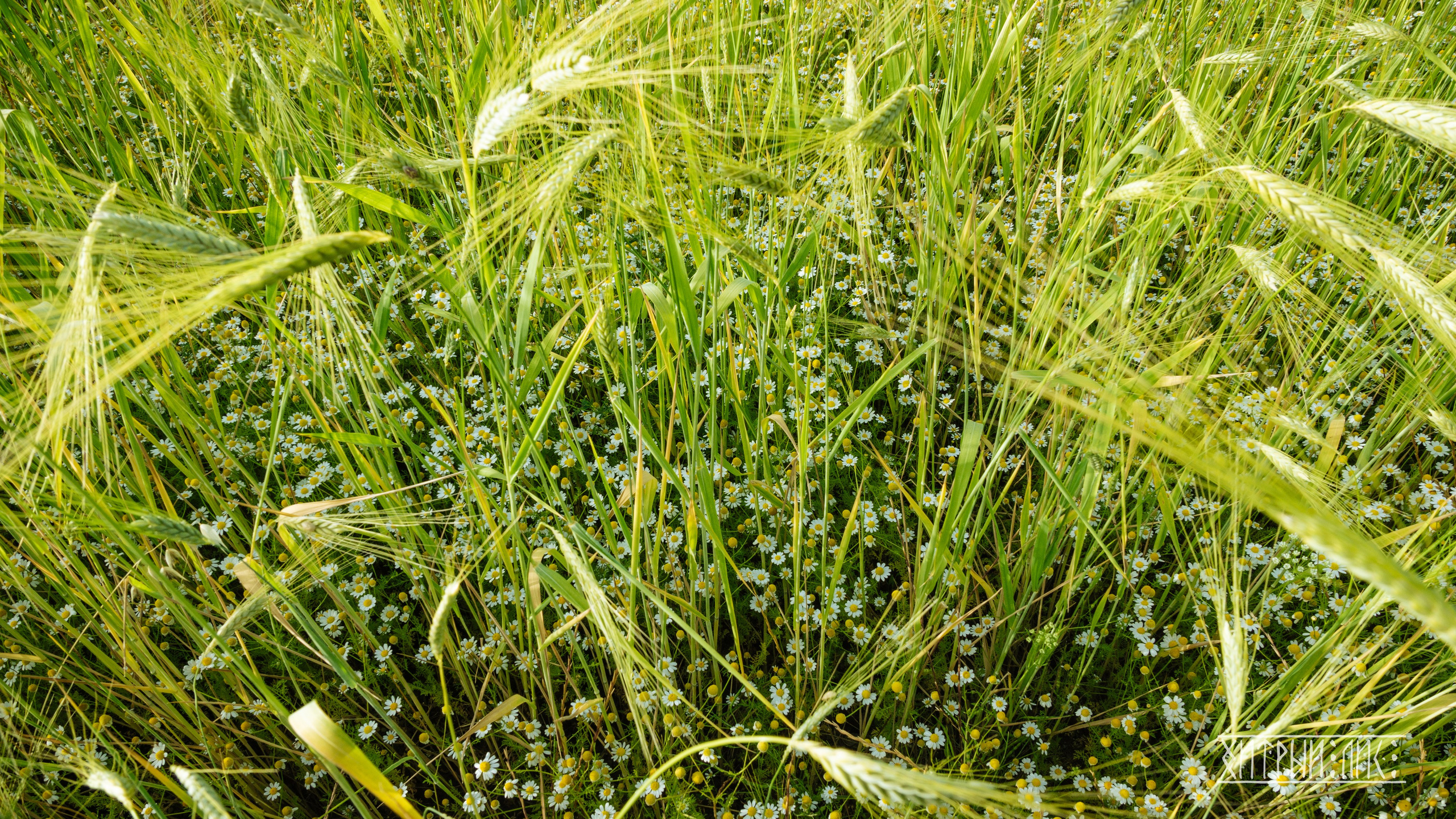 Кипр. Фотограф-путешественник Самойлов Максим «Sly Fox»