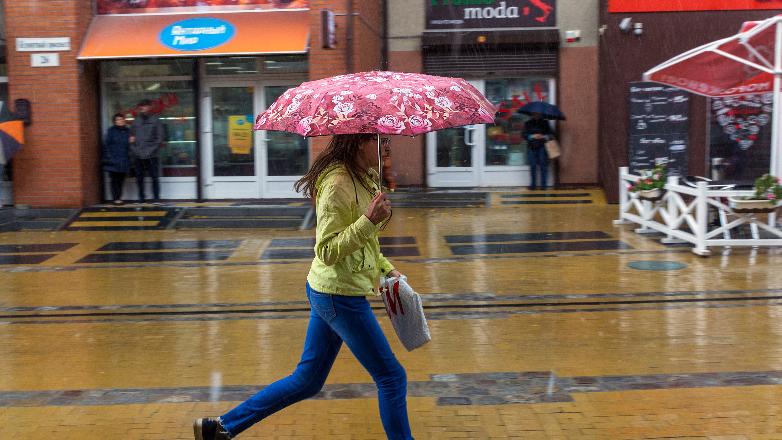 Куршская коса. Фотограф-путешественник Самойлов Максим «Sly Fox»