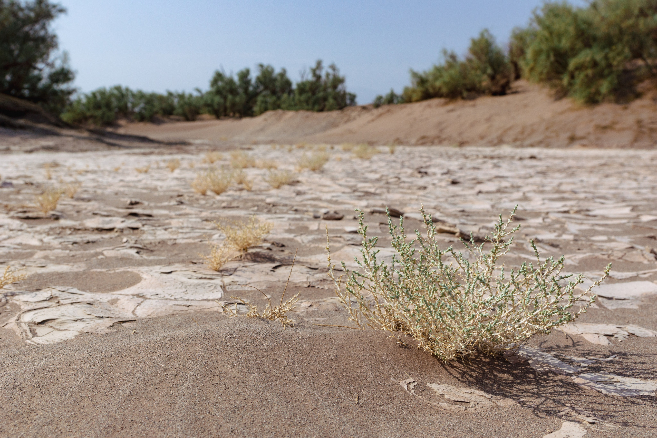 Иран. Фотограф-путешественник Самойлов Максим «Sly Fox»
