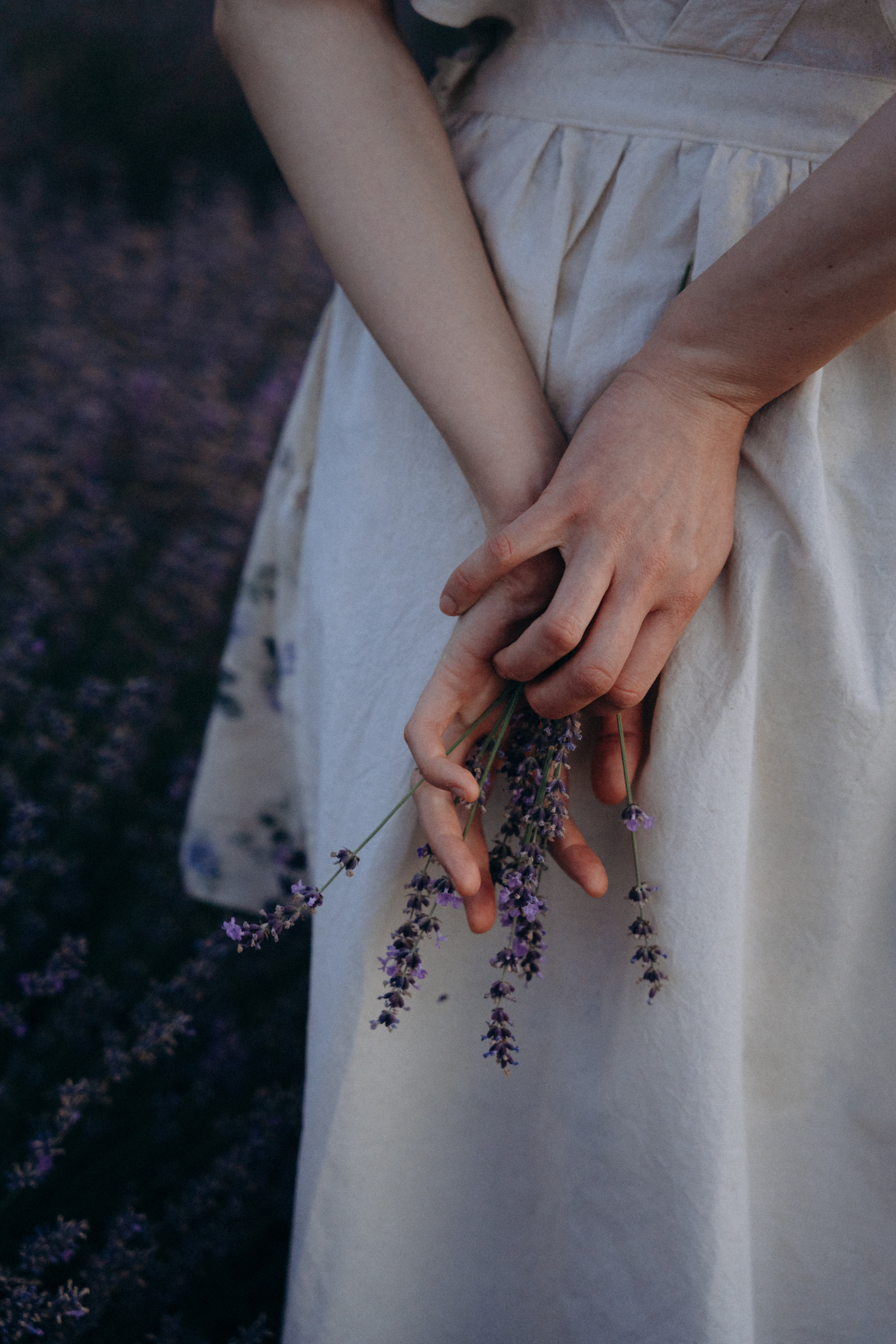 Люда | in lavender. Портретный свадебный фотограф Крым | Евгения Щитенко