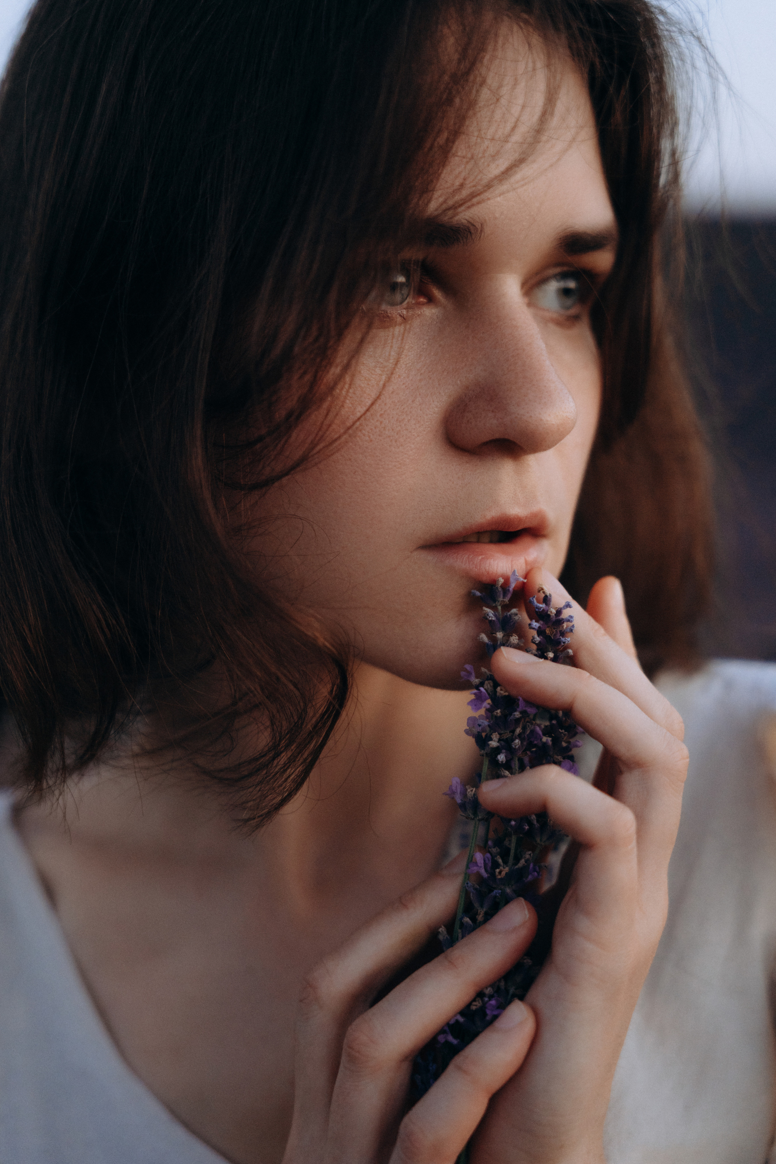 Люда | in lavender. Портретный свадебный фотограф Крым | Евгения Щитенко