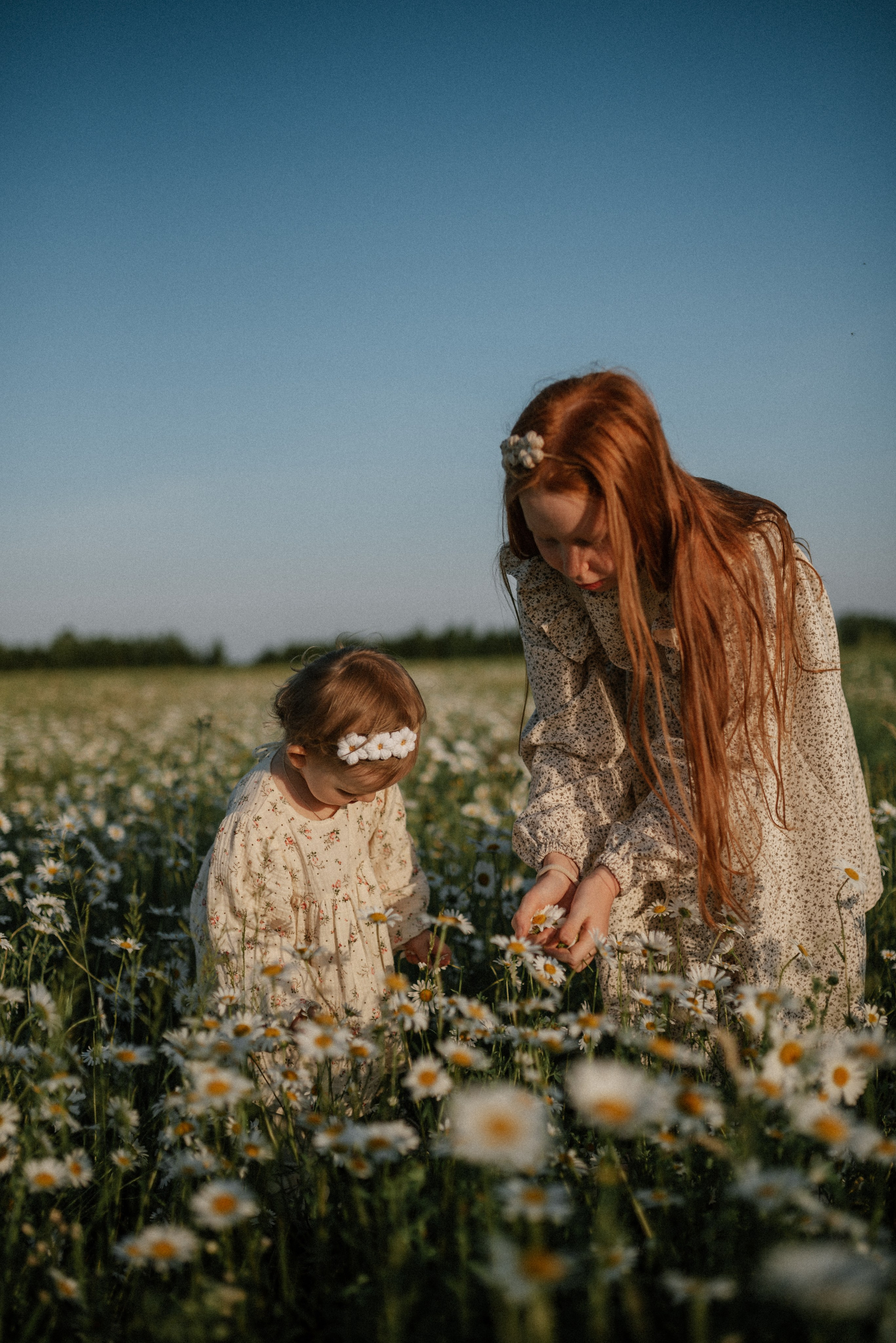Ида, Мира и ромашки. Свадебный и семейный фотограф Кожевникова Лариса