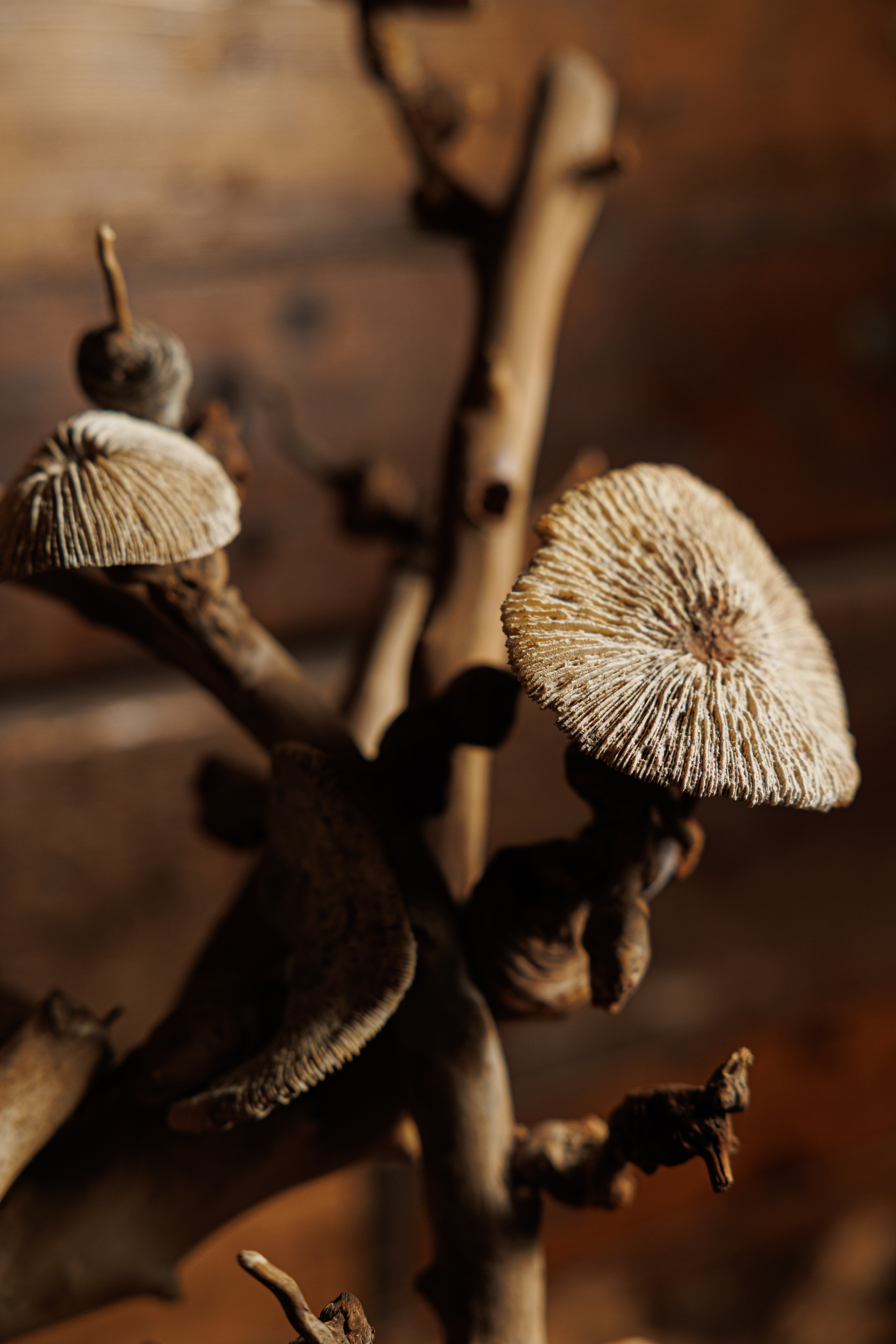 Корпоратив в стиле HALLOWEEN. Репортажный фотограф Ольга Кочетова в Москве