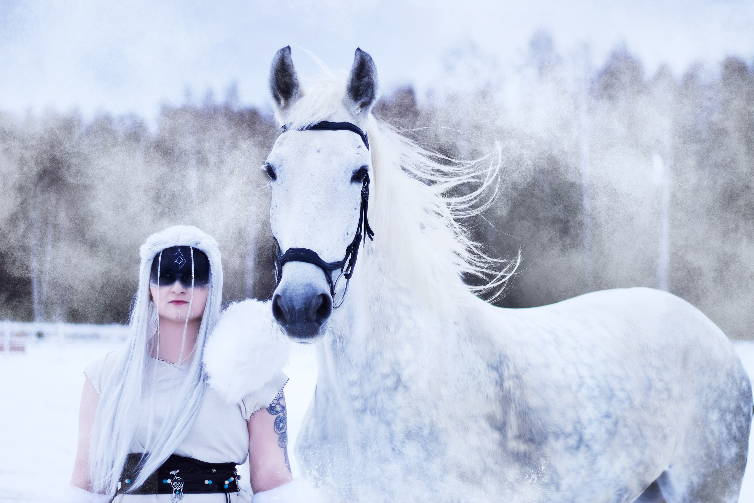 Фотосессии с лошадьми. Фотограф анималист — Тула, Москва