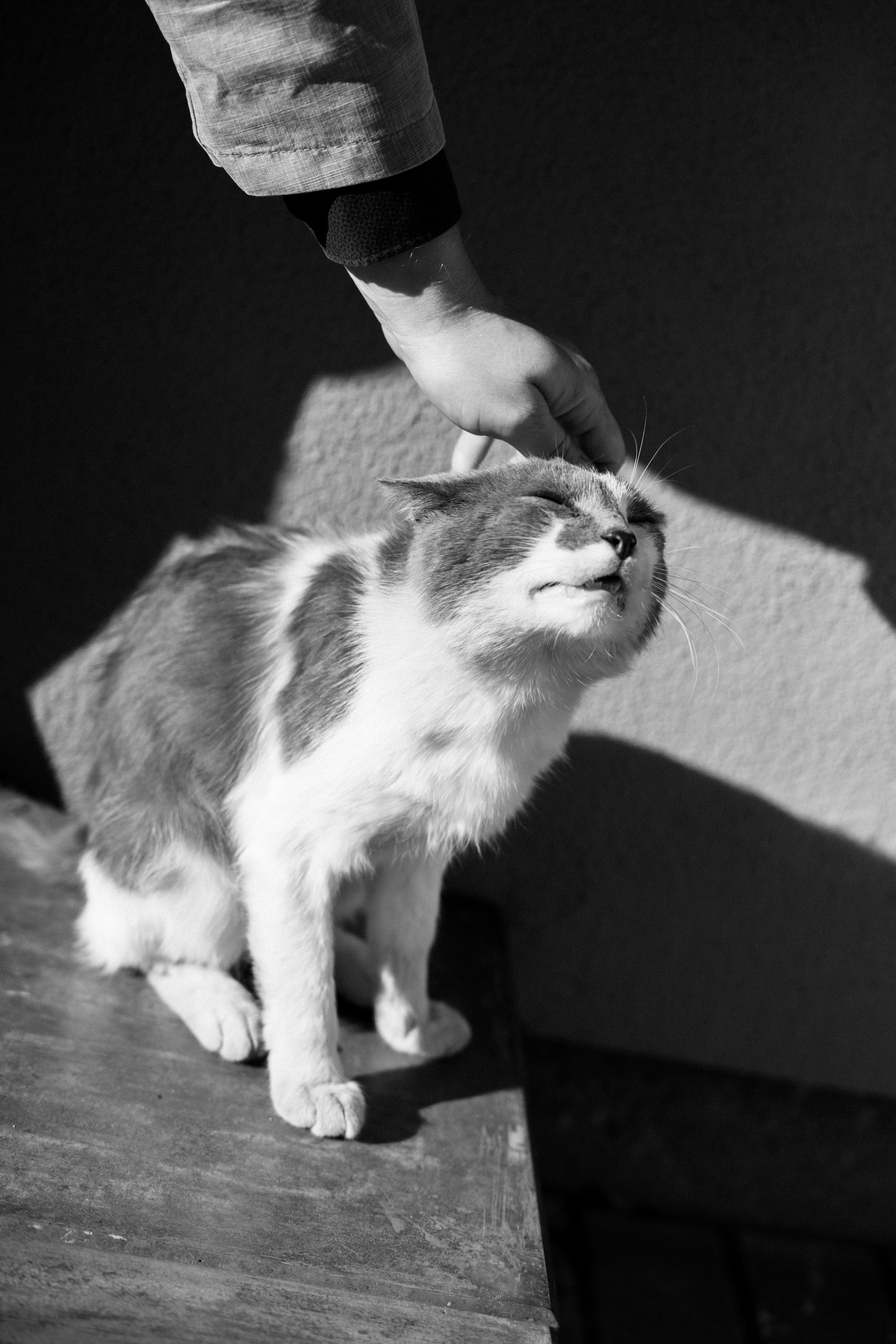 Молодые и влюблённые. СВАДЕБНЫЙ И РЕПОРТАЖНЫЙ ФОТОГРАФ | МИНСК, БЕЛАРУСЬ| ЮЛИАНА ВАСИЛЬКОВА