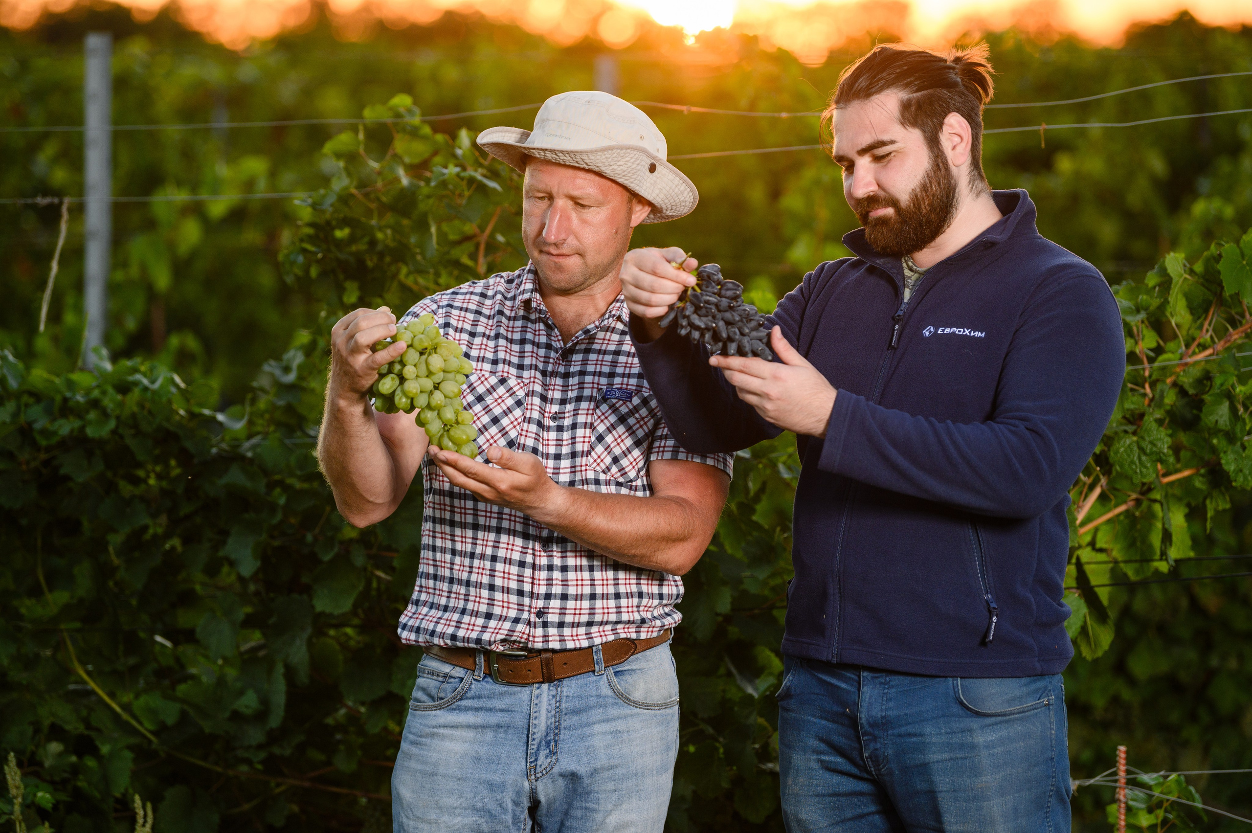 Проекты. Профессиональный фотограф Вячеслав Плацында | Липецк |